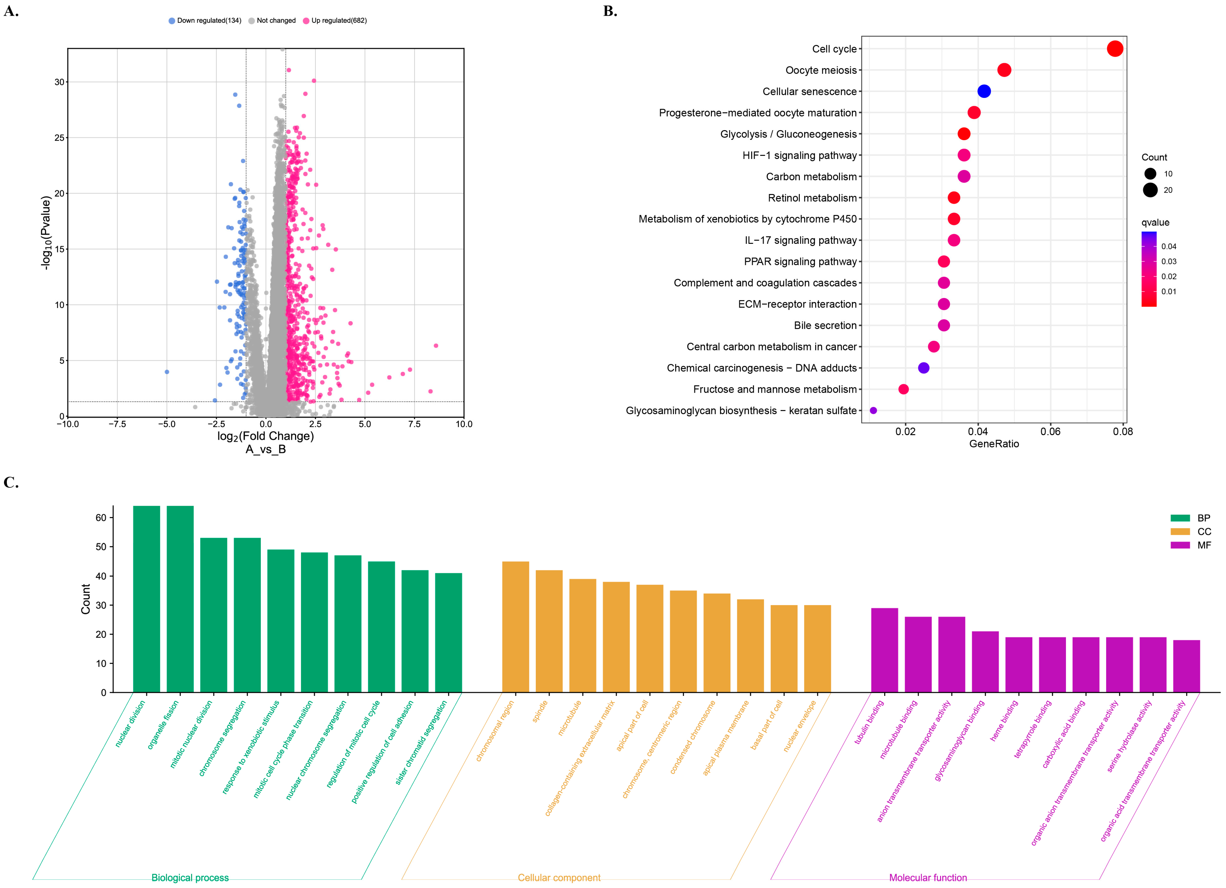 Biology 12 01101 g007 Biology 12 01101 g007