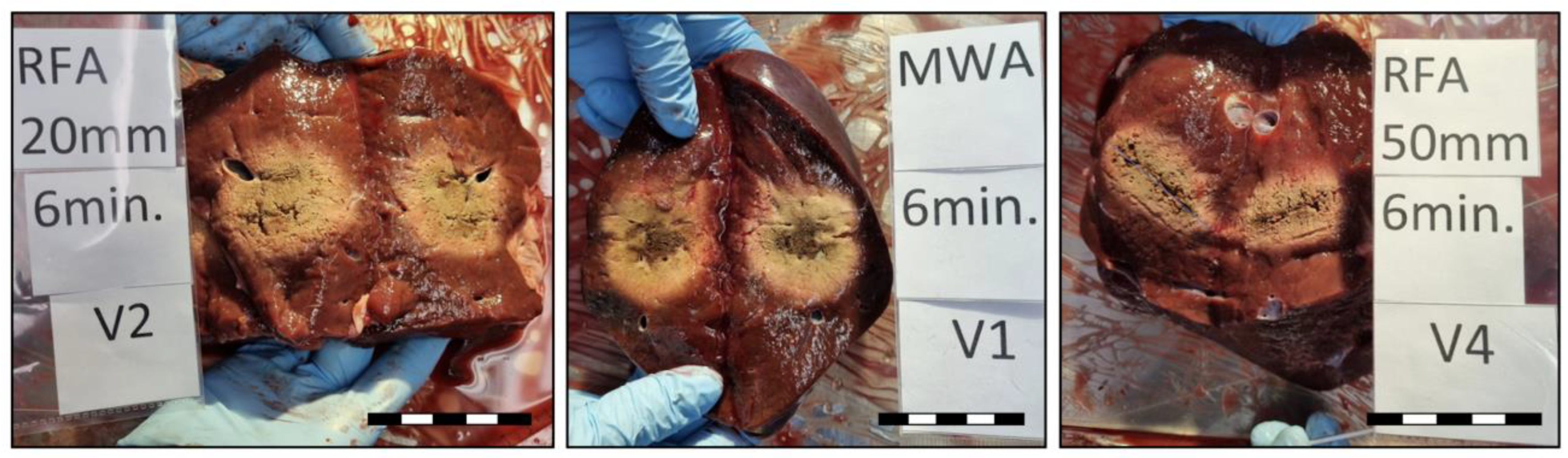 Biology 12 01103 g002