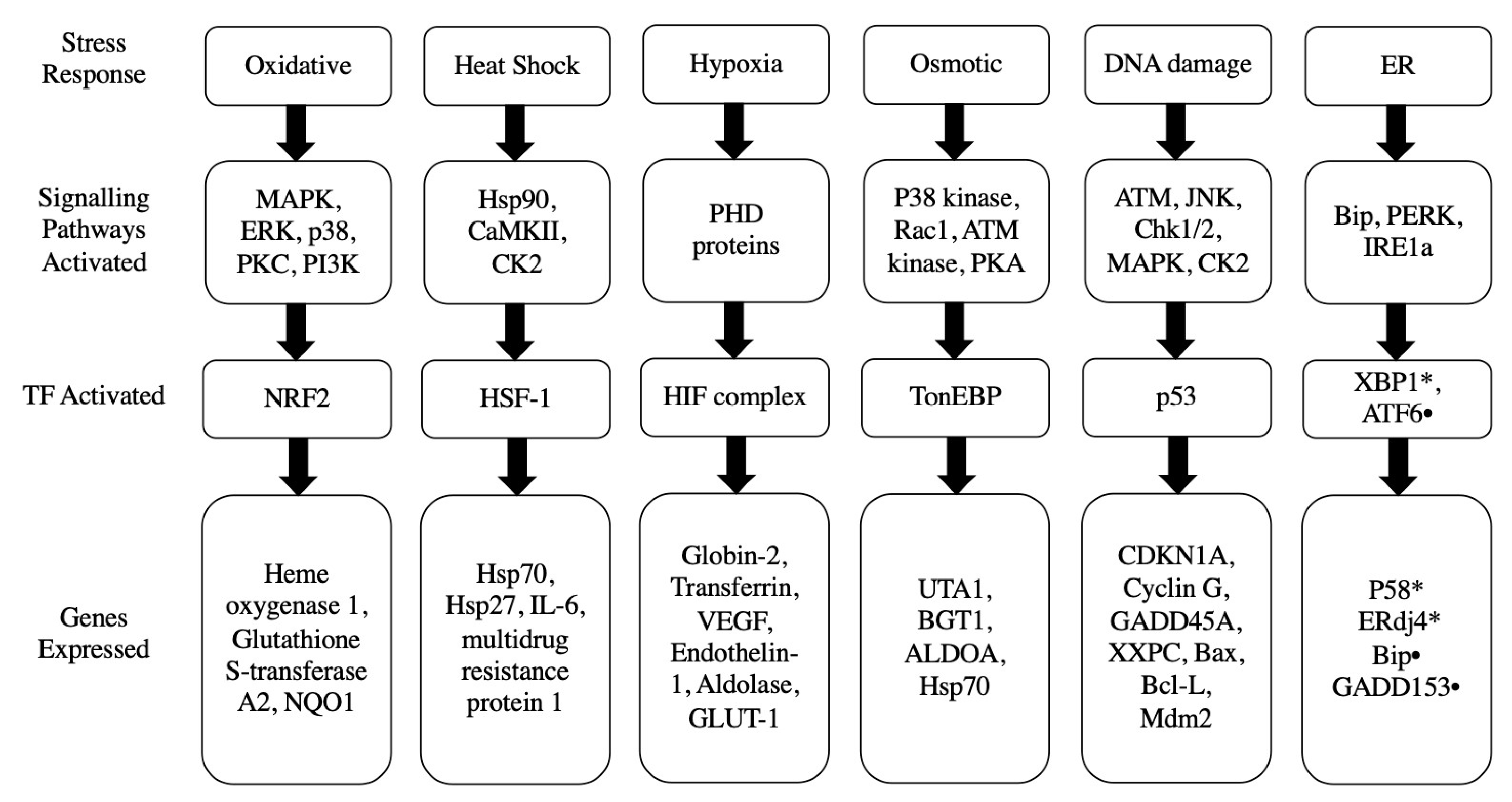 Biology 12 01119 g001