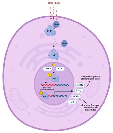 Biology 12 01119 g003