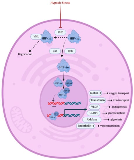 Biology 12 01119 g004