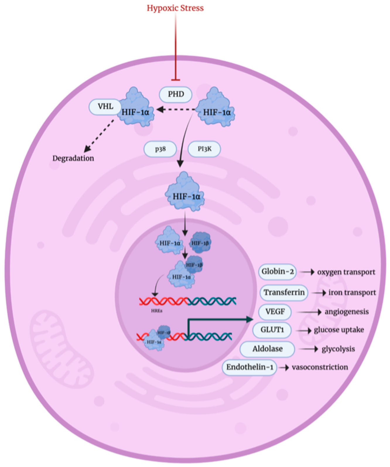 Biology 12 01119 g004