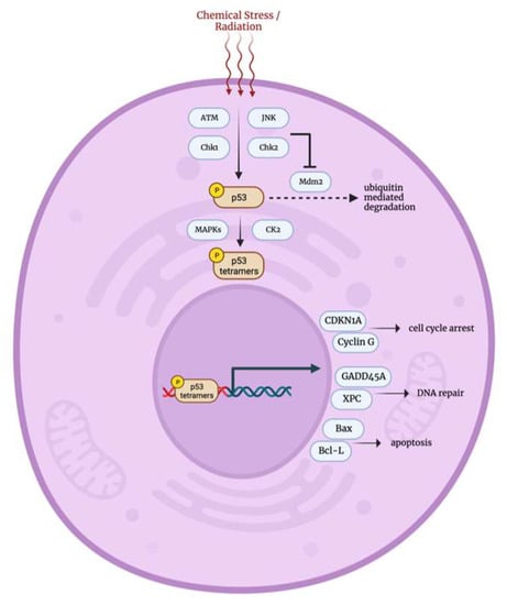 Biology 12 01119 g006