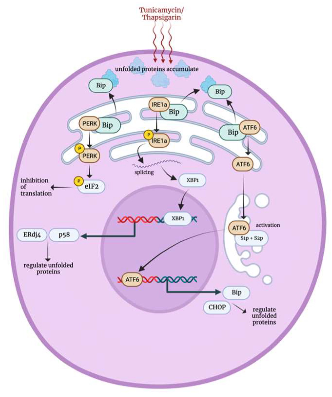 Biology 12 01119 g007