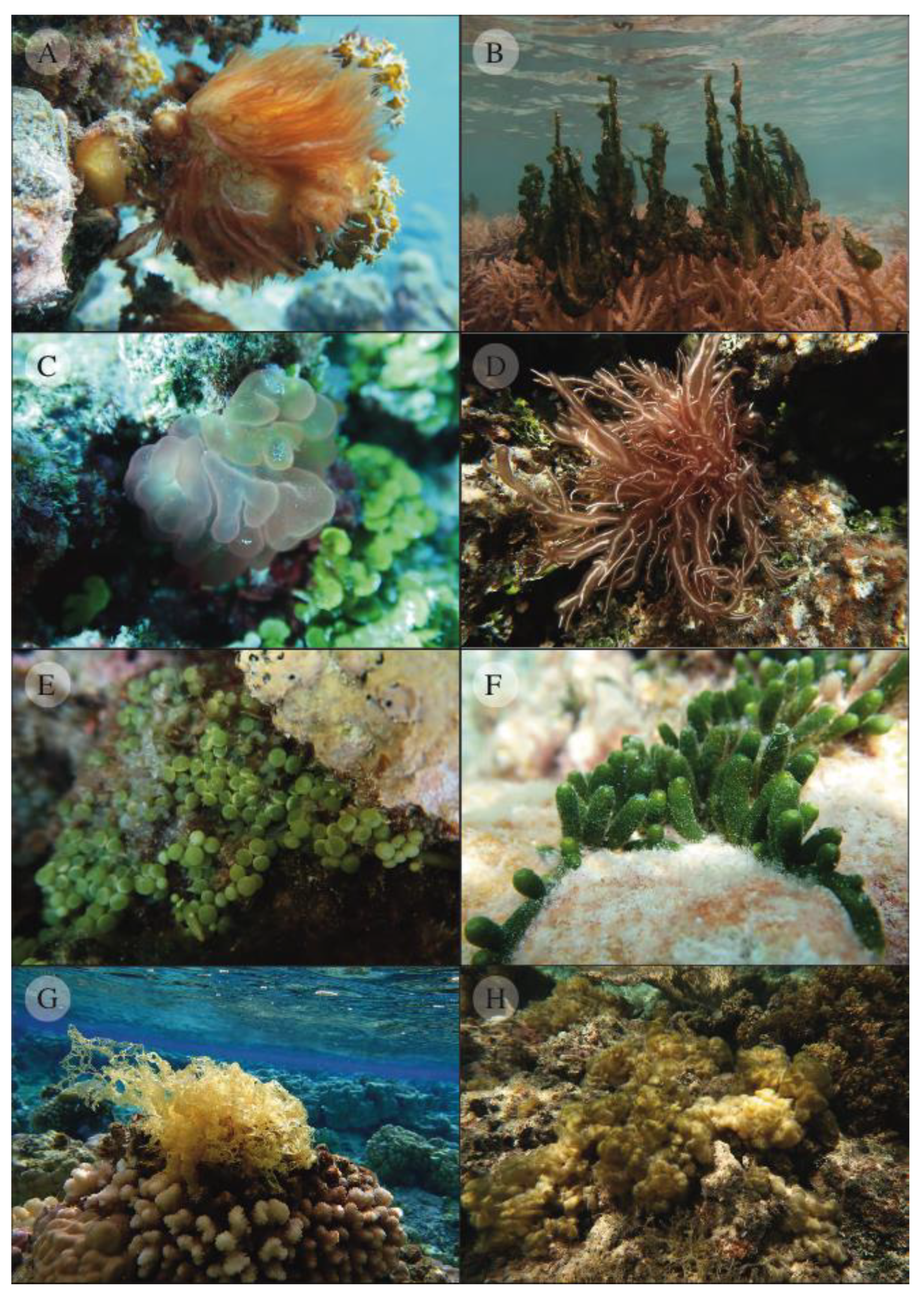 Biology 12 01124 g002
