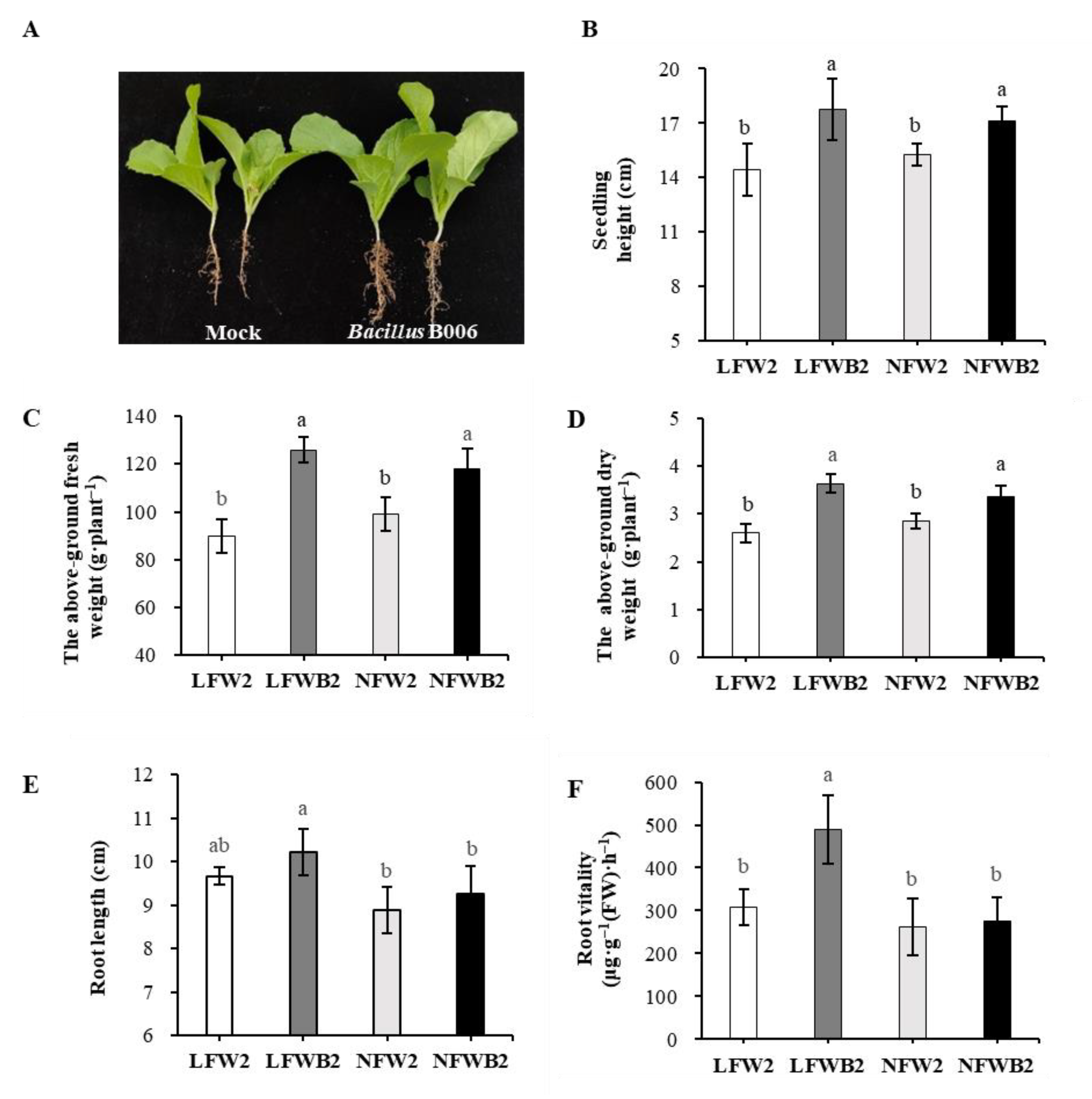 Biology 12 01130 g001 Biology 12 01130 g001