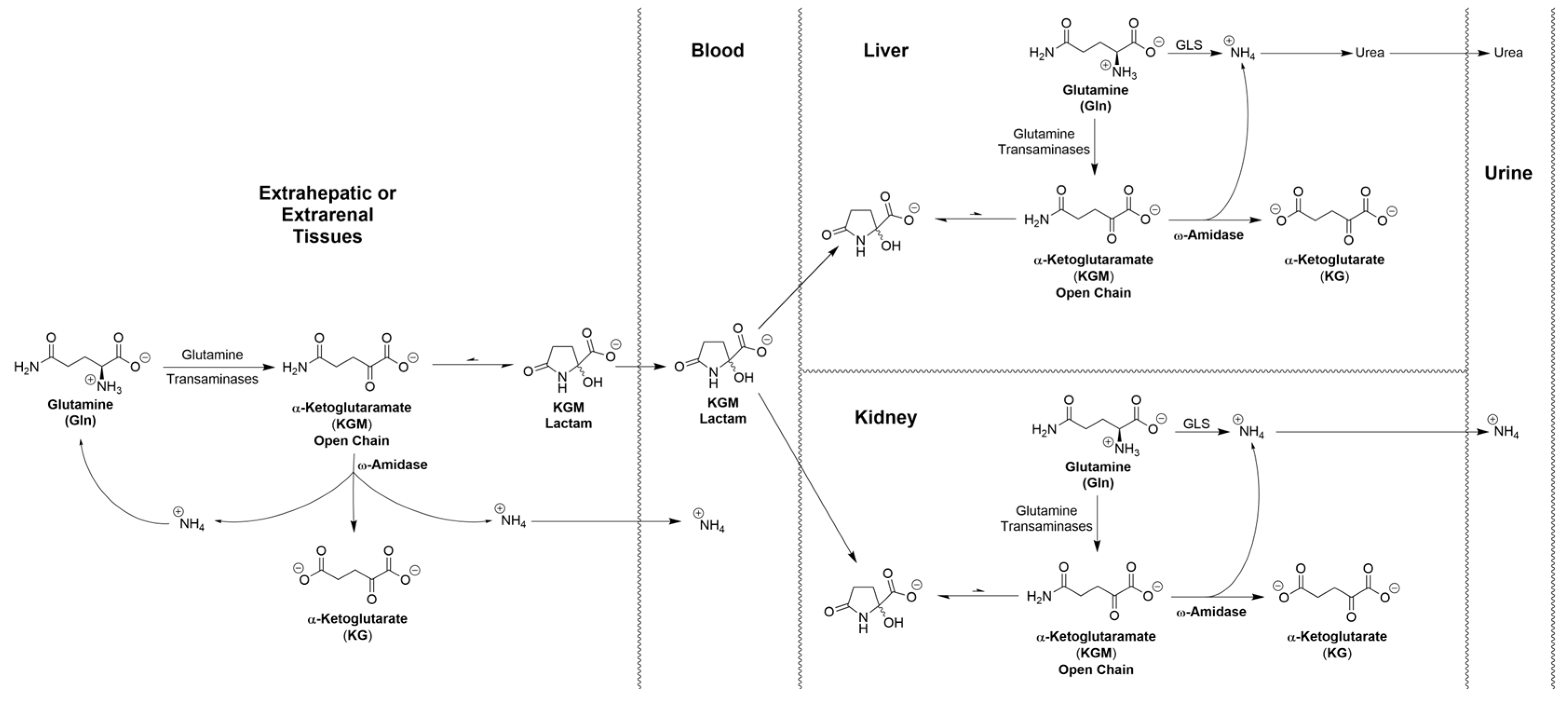 Biology 12 01131 g003 Biology 12 01131 g003