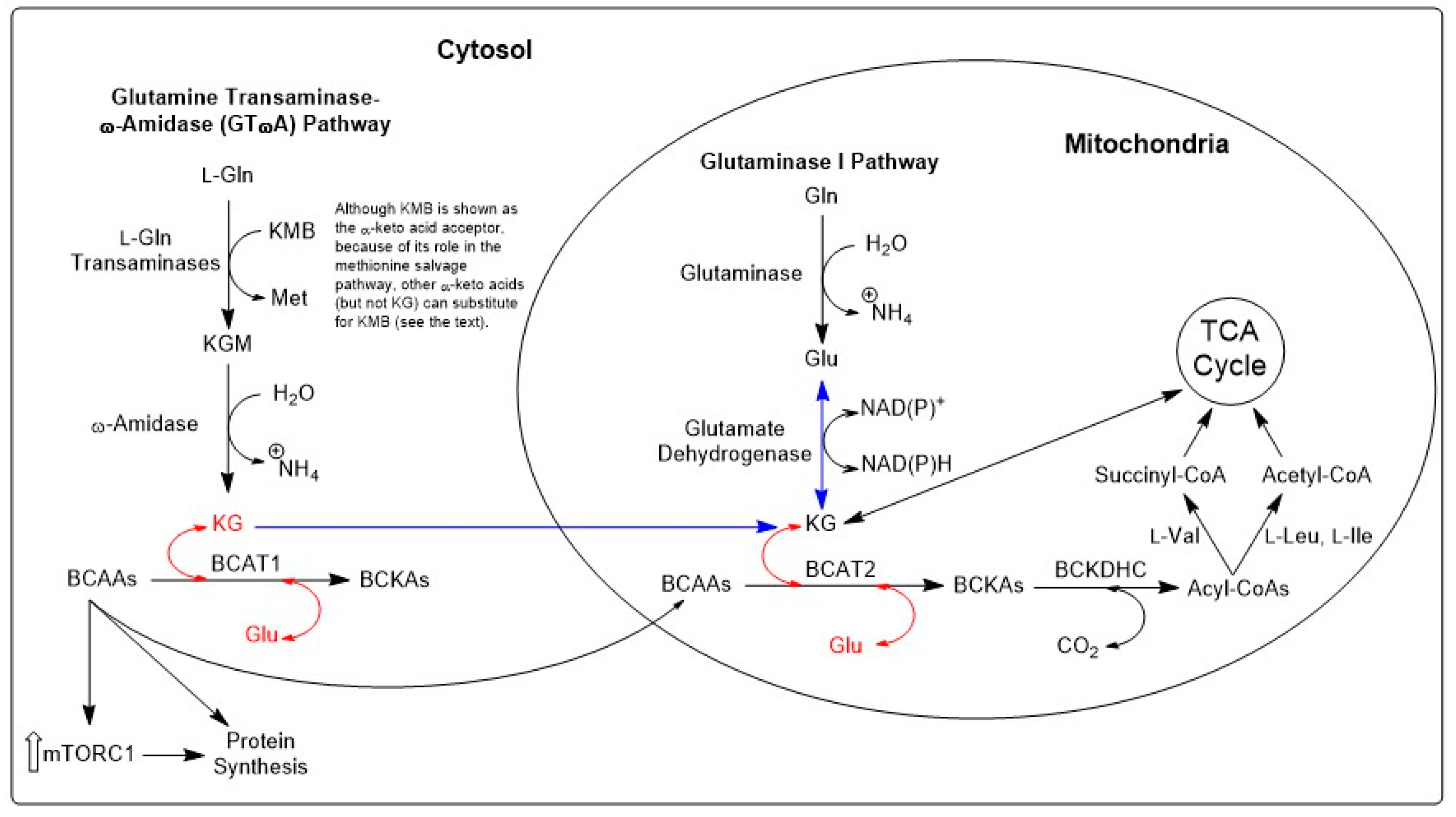 Biology 12 01131 g006 Biology 12 01131 g006