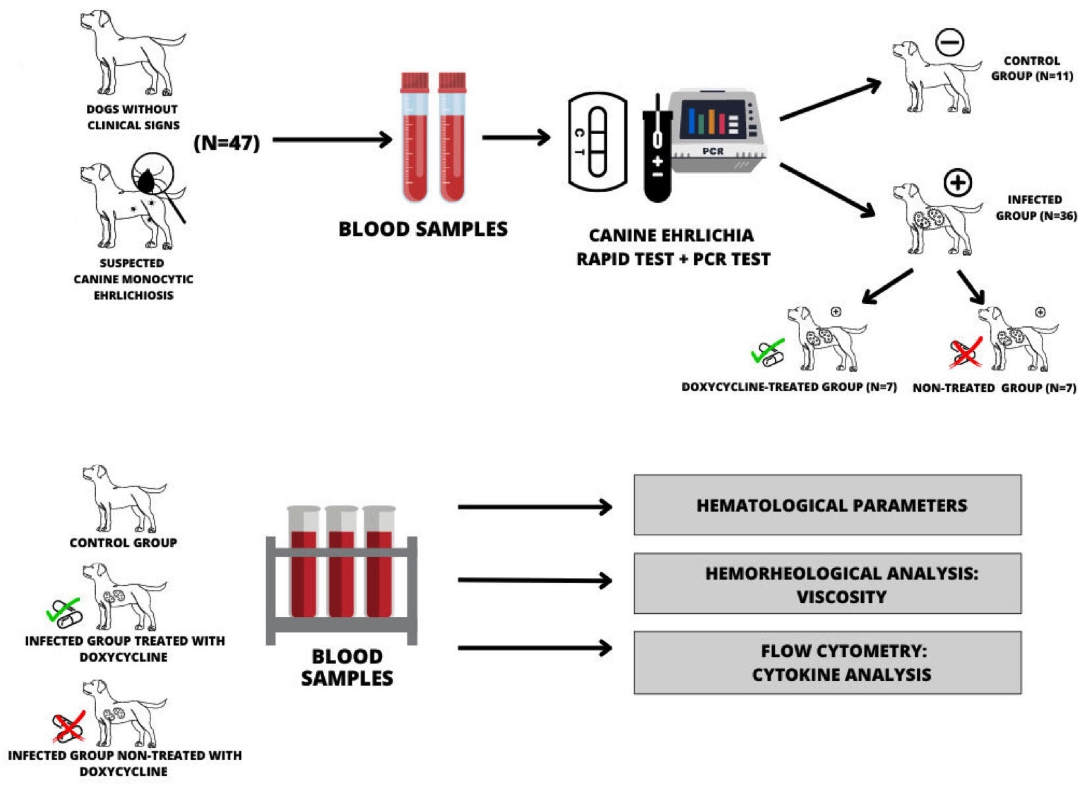 Biology 12 01137 g001