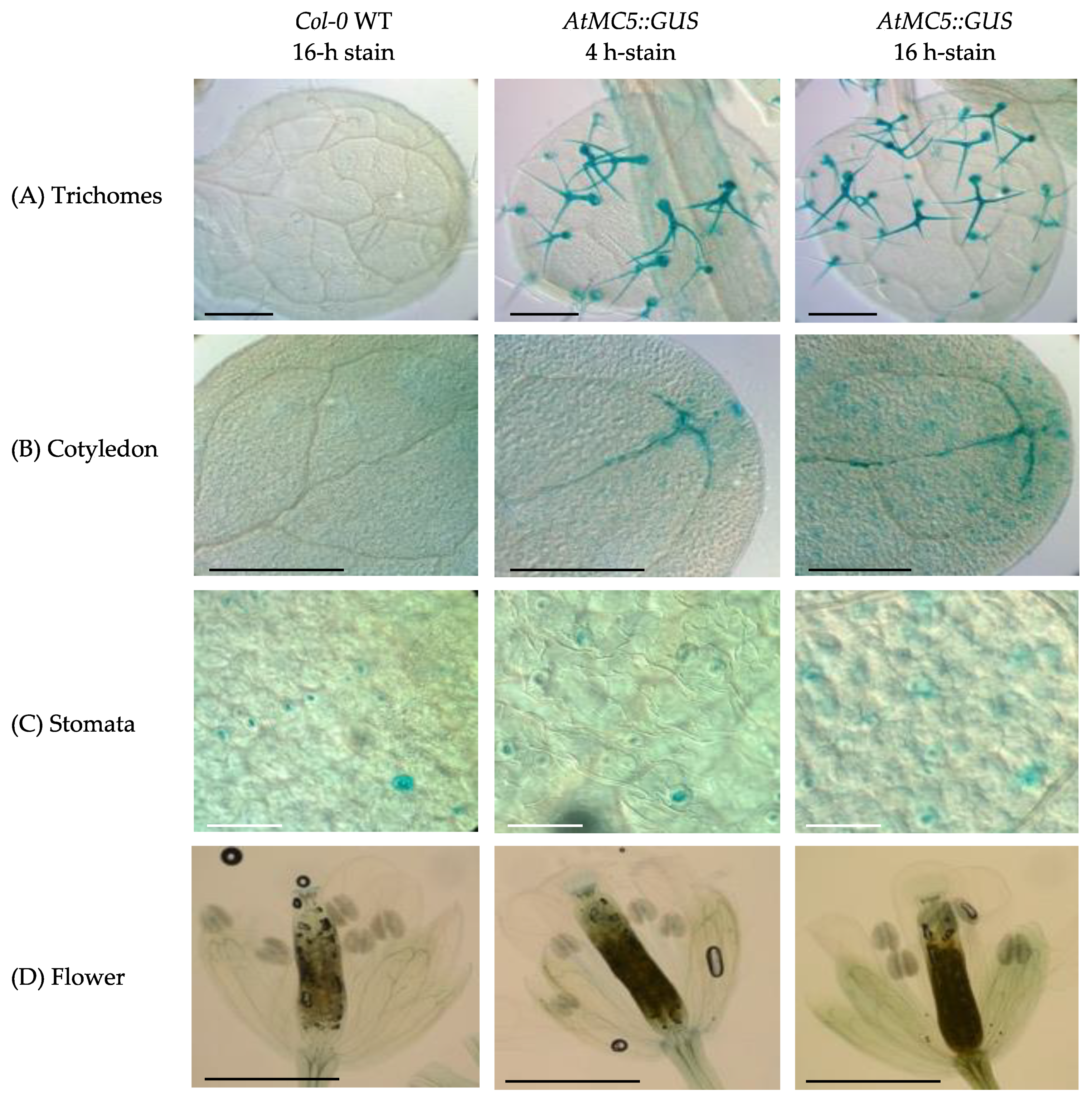 Biology 12 01155 g002
