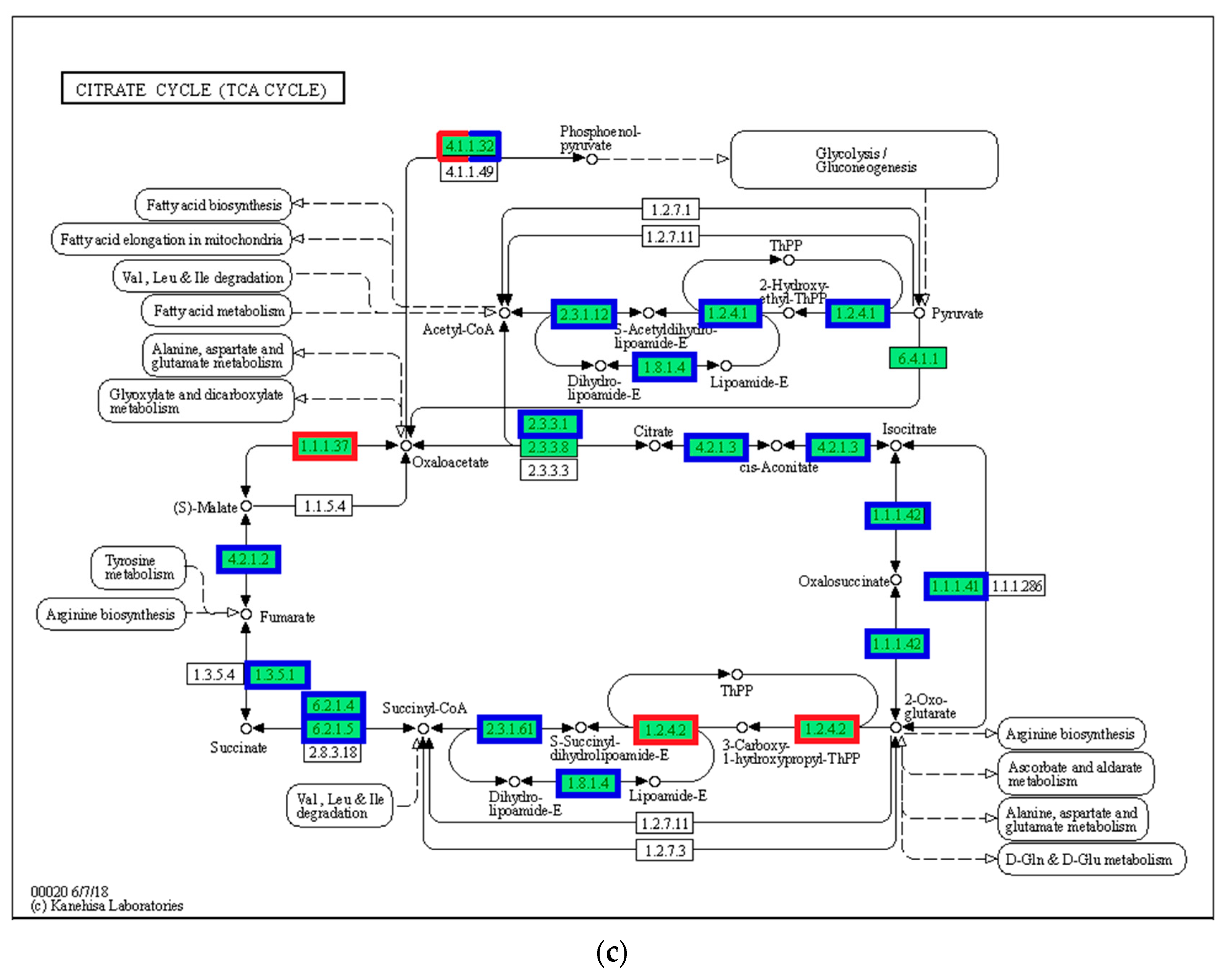 Biology 12 01161 g008b
