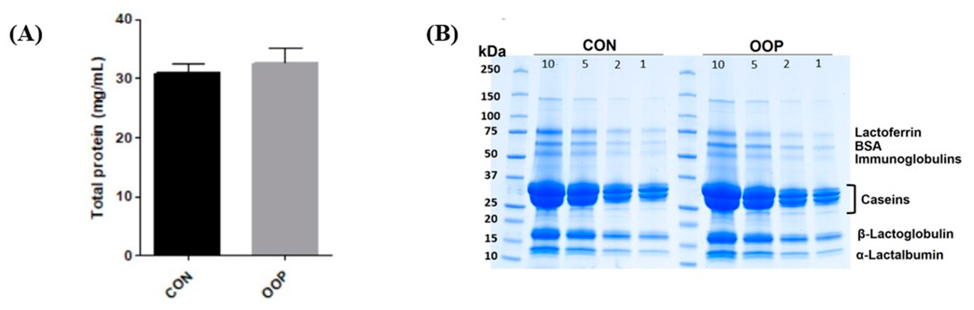 Biology 12 01162 g001