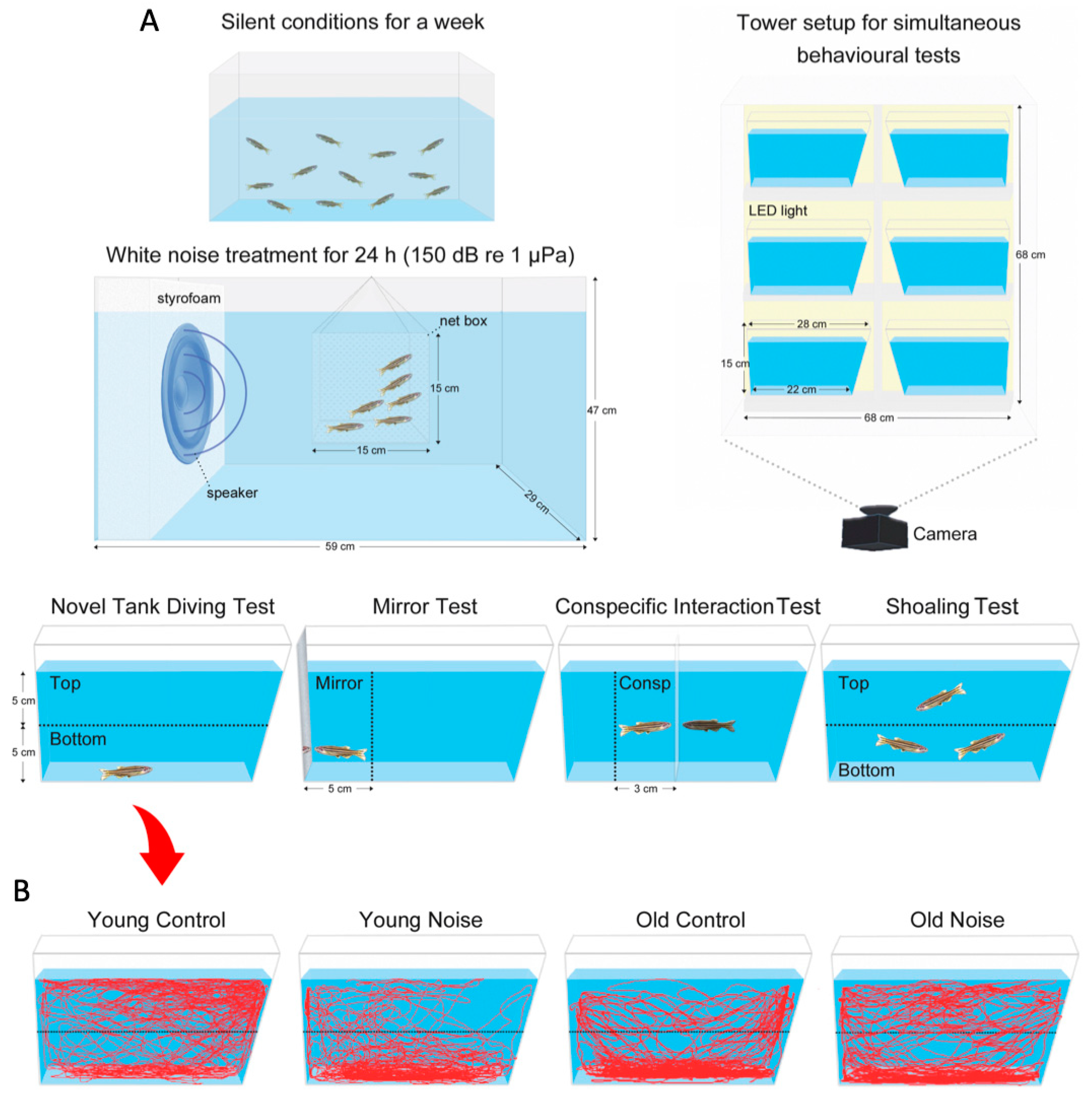 Biology 12 01165 g001