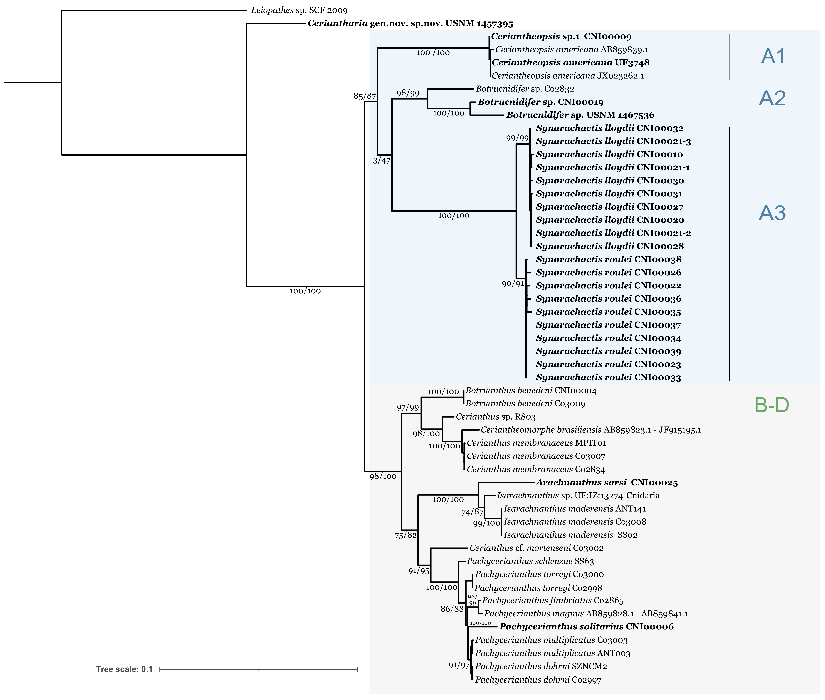Biology 12 01167 g001