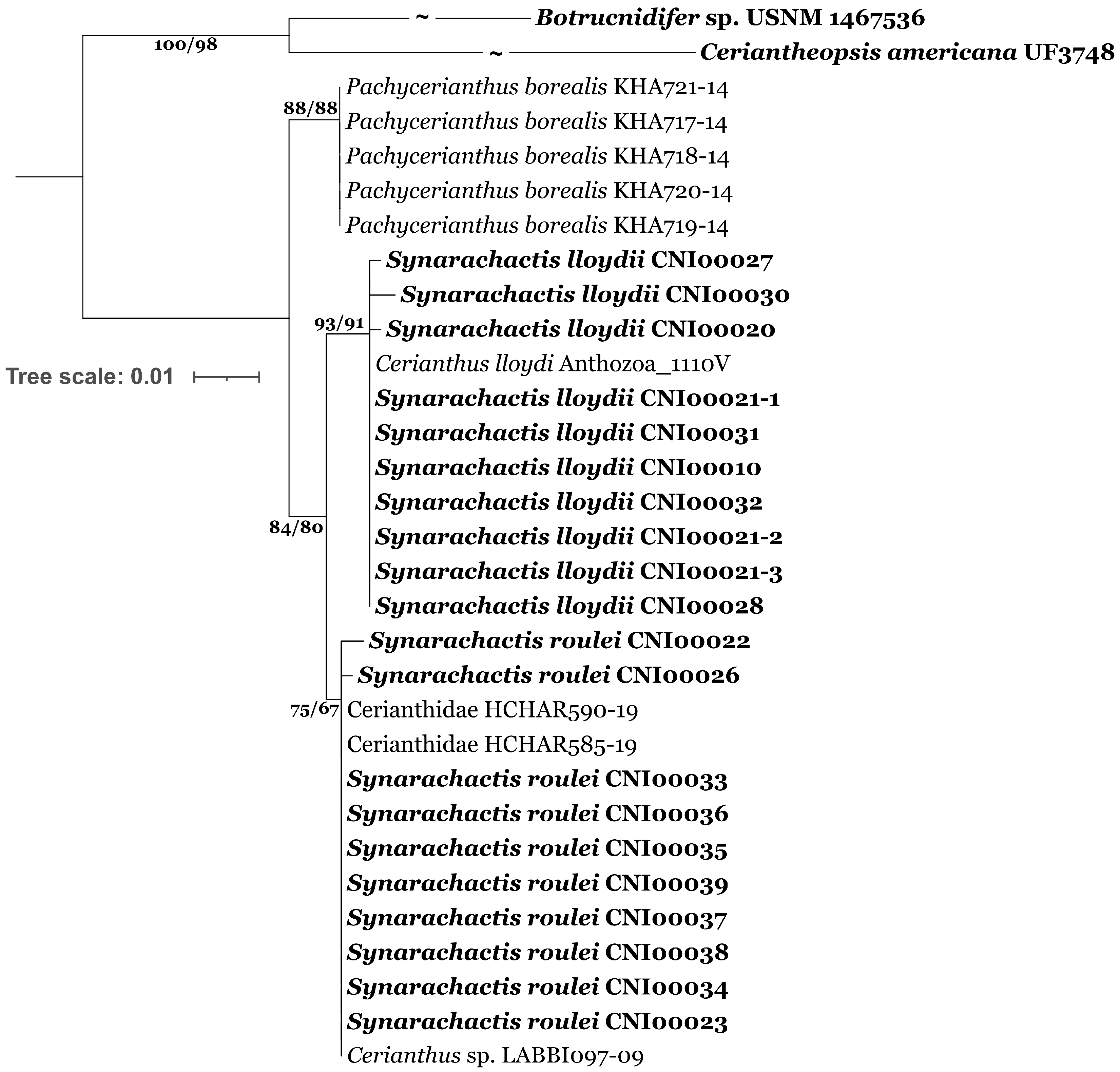 Biology 12 01167 g002