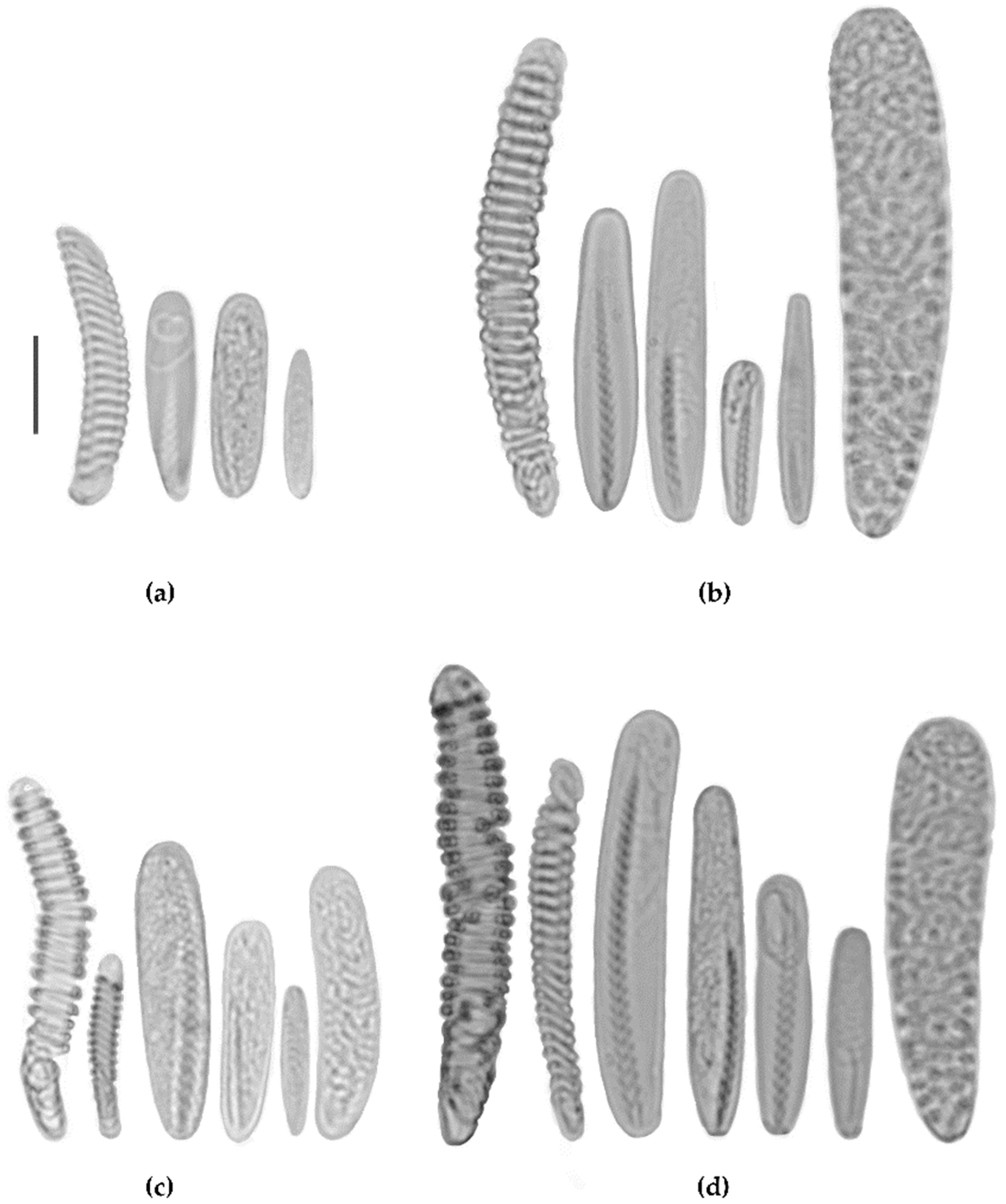Biology 12 01167 g004