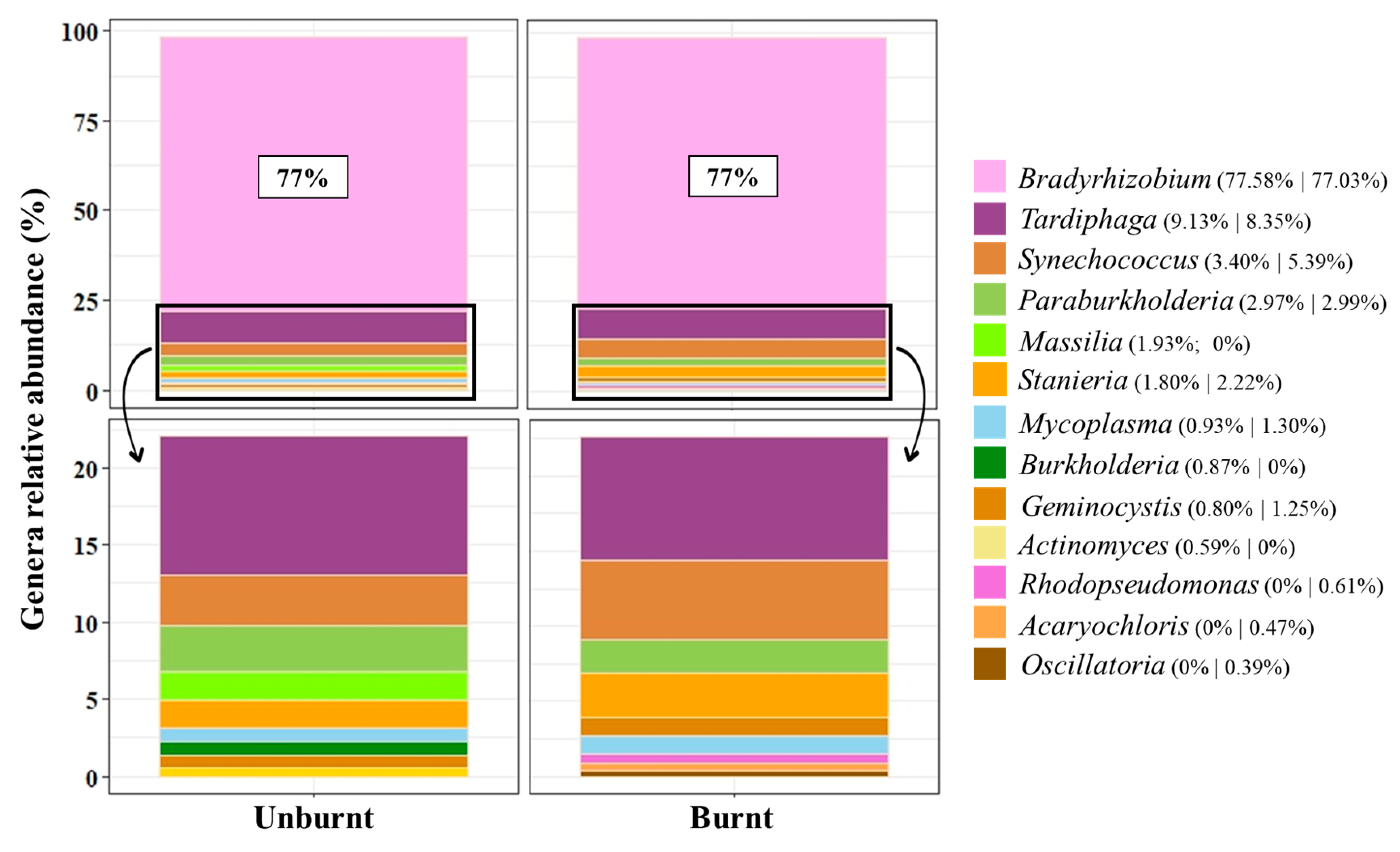 Biology 12 01168 g002 Biology 12 01168 g002
