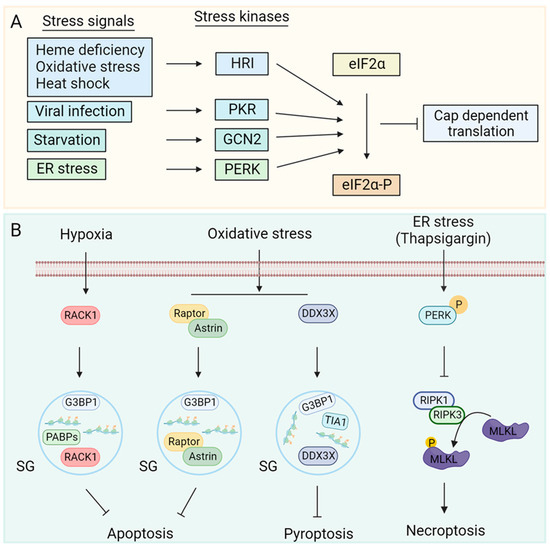 Biology 12 01172 g001