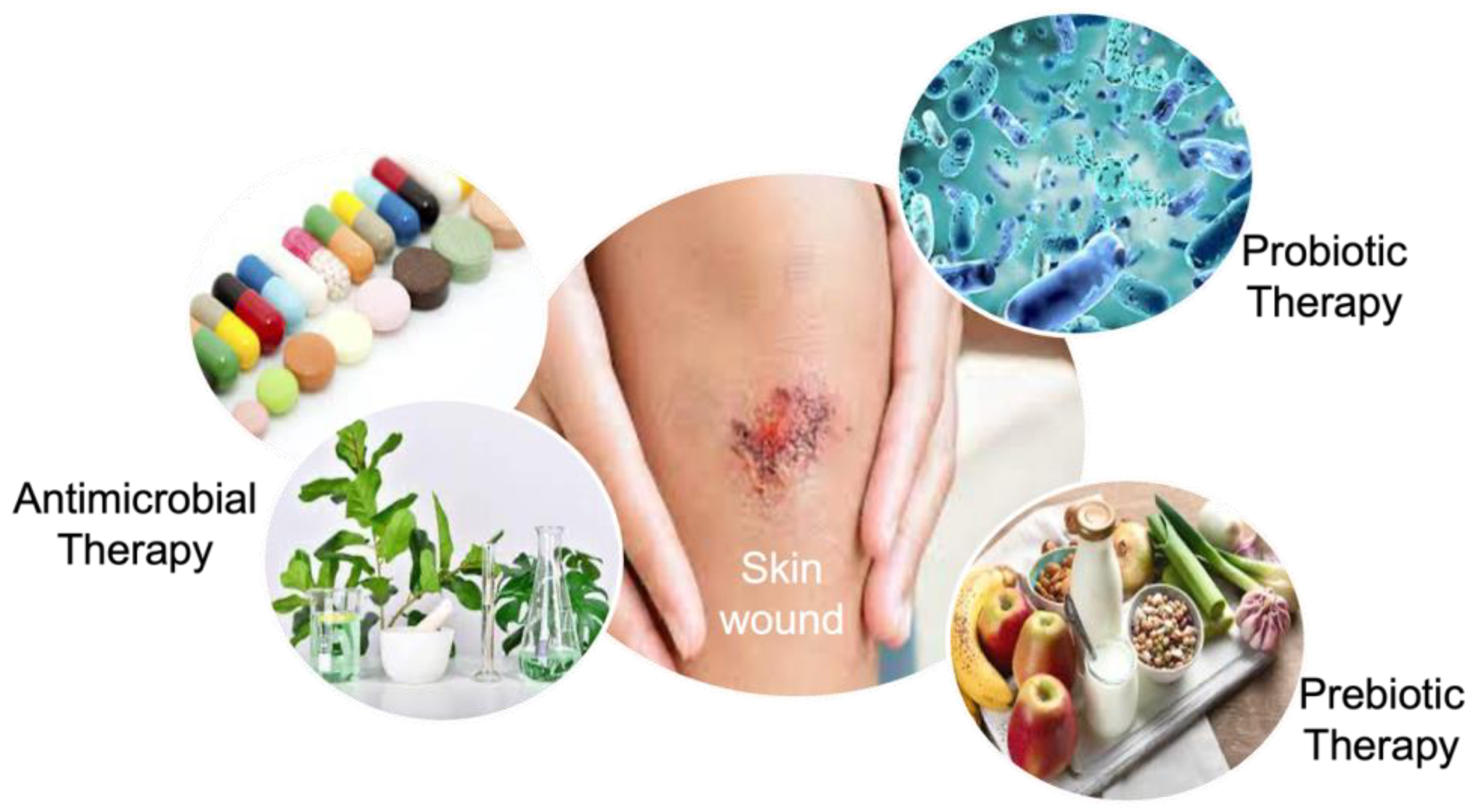 Biology 12 01187 g003 Biology 12 01187 g003