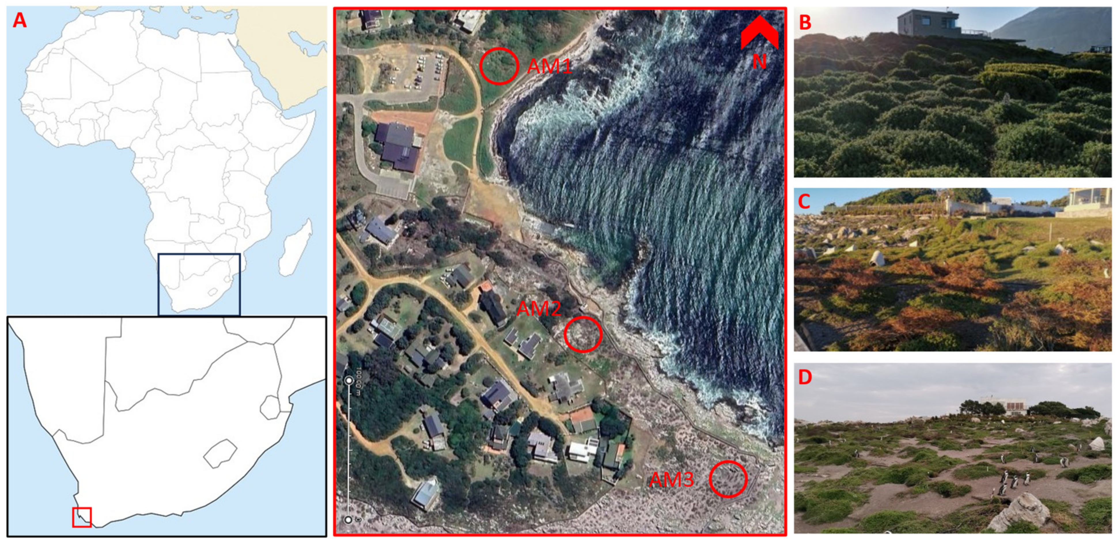 Biology 12 01191 g001