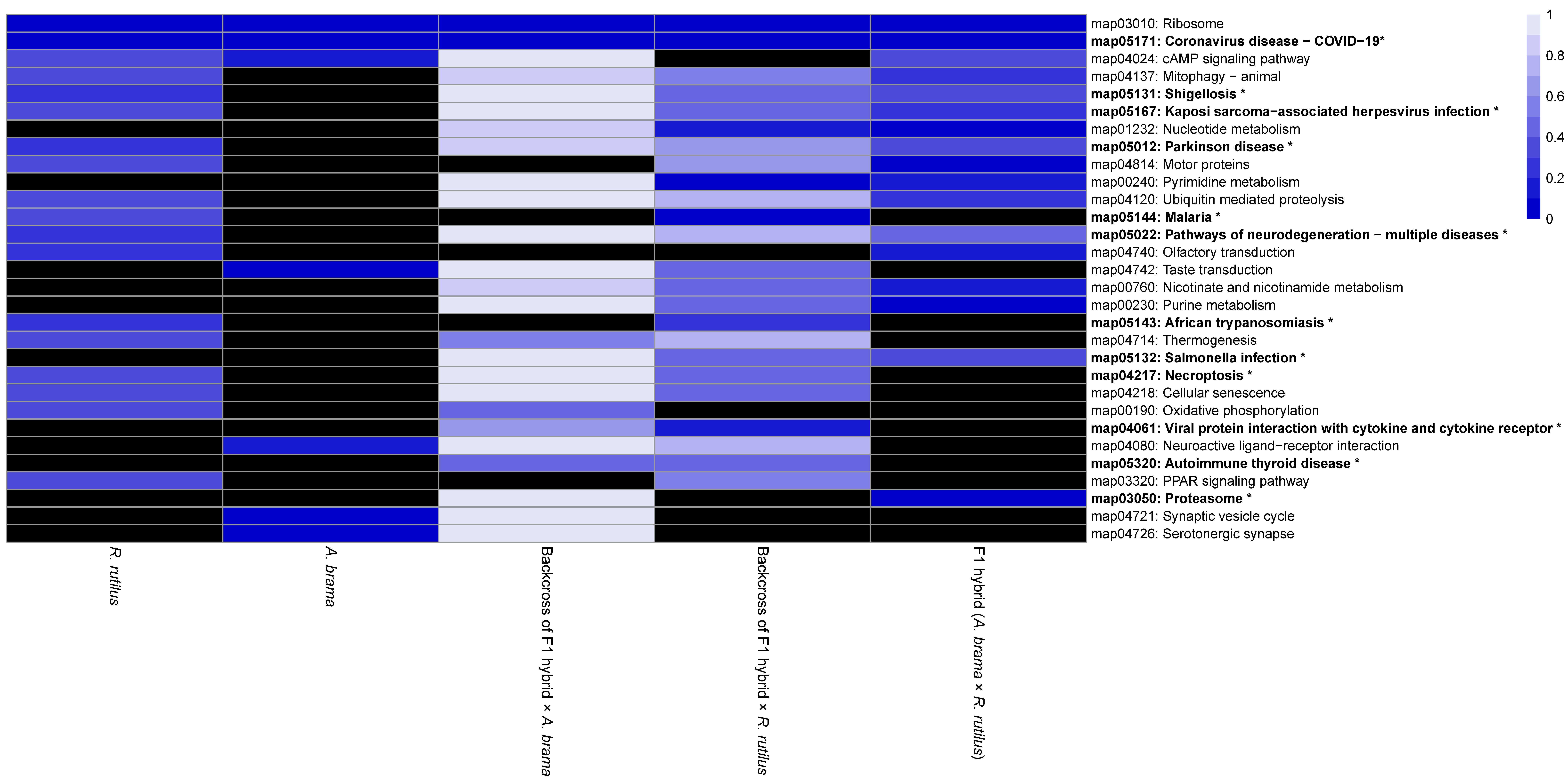 Biology 12 01199 g010