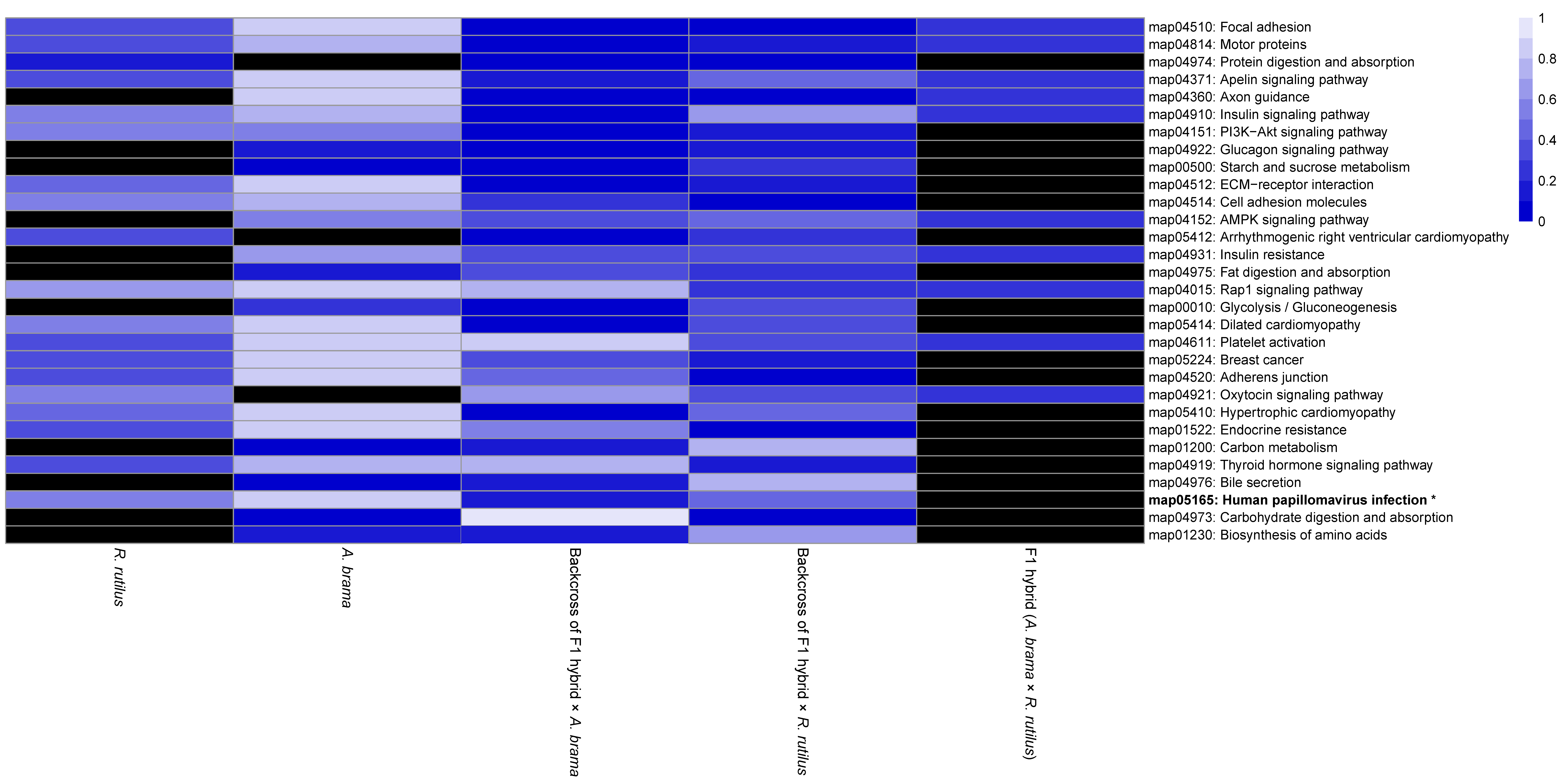 Biology 12 01199 g011