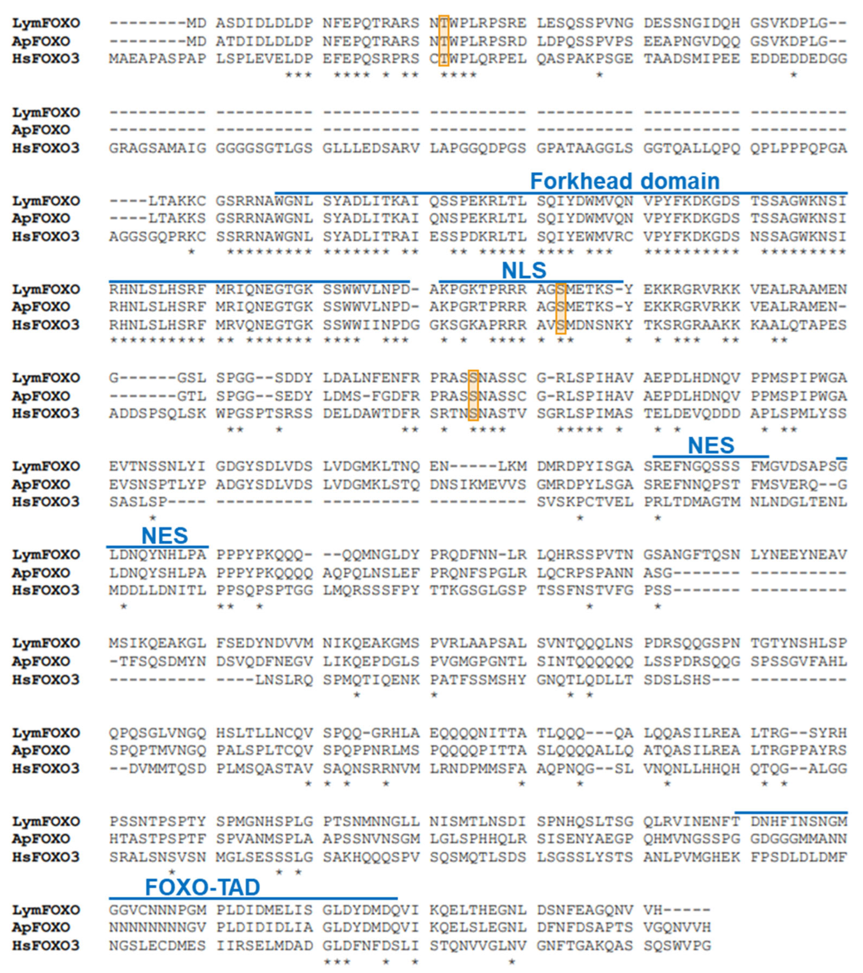 Biology 12 01201 g001