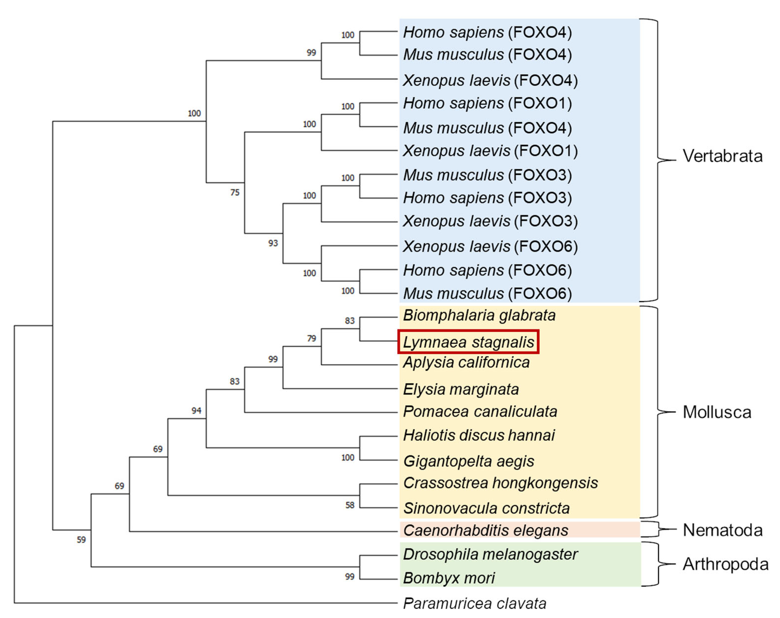 Biology 12 01201 g002