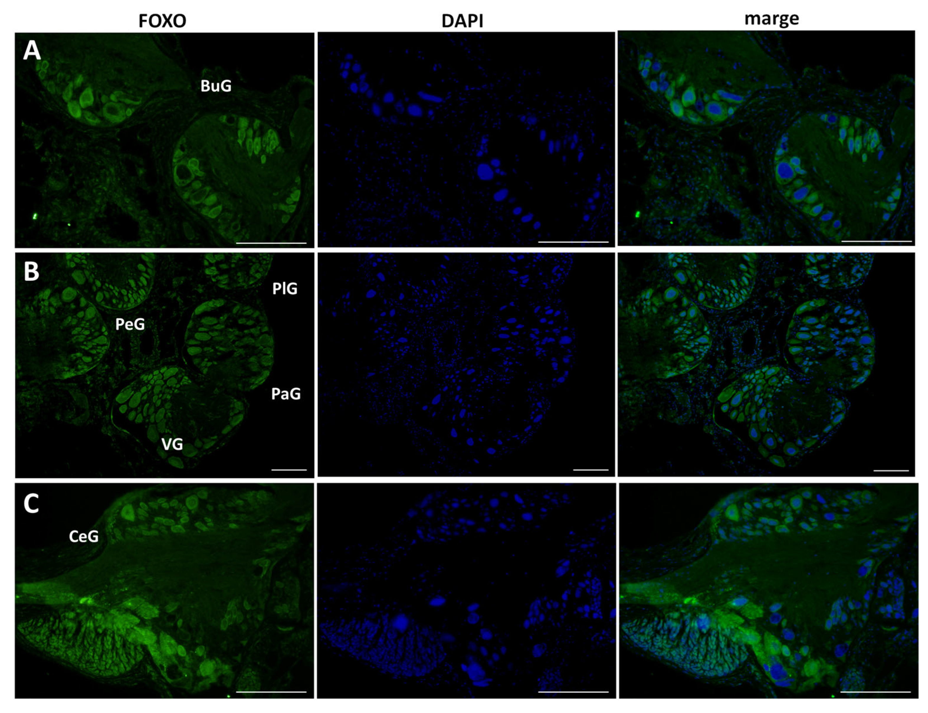 Biology 12 01201 g004