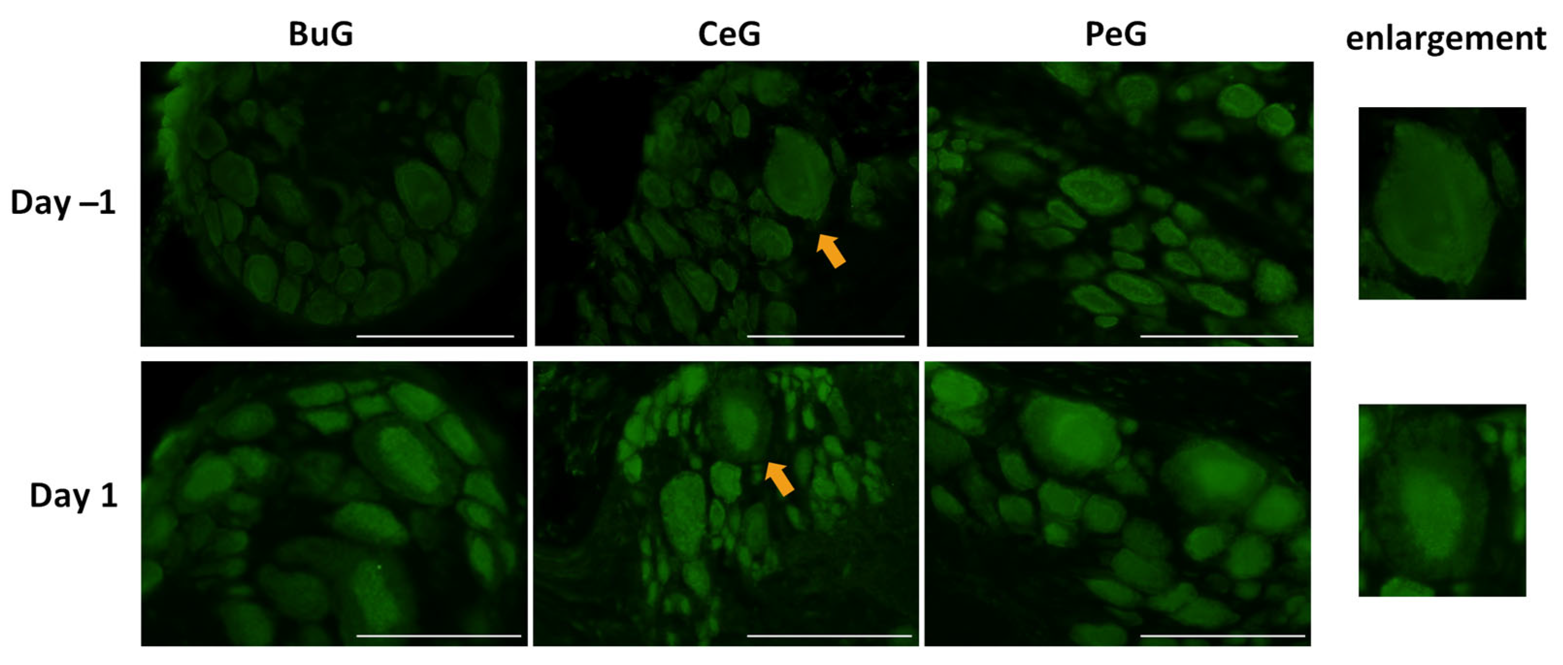 Biology 12 01201 g006