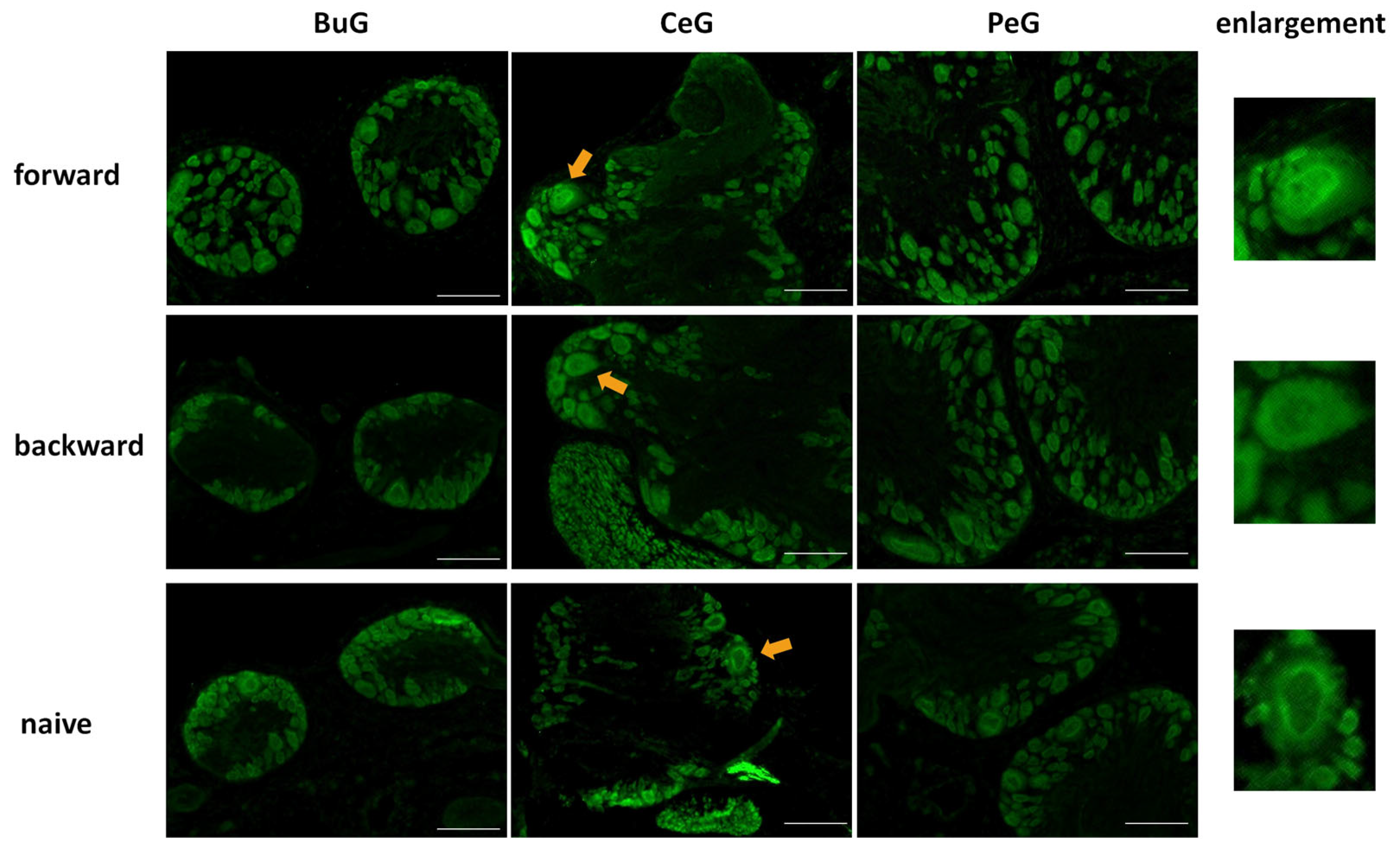 Biology 12 01201 g007