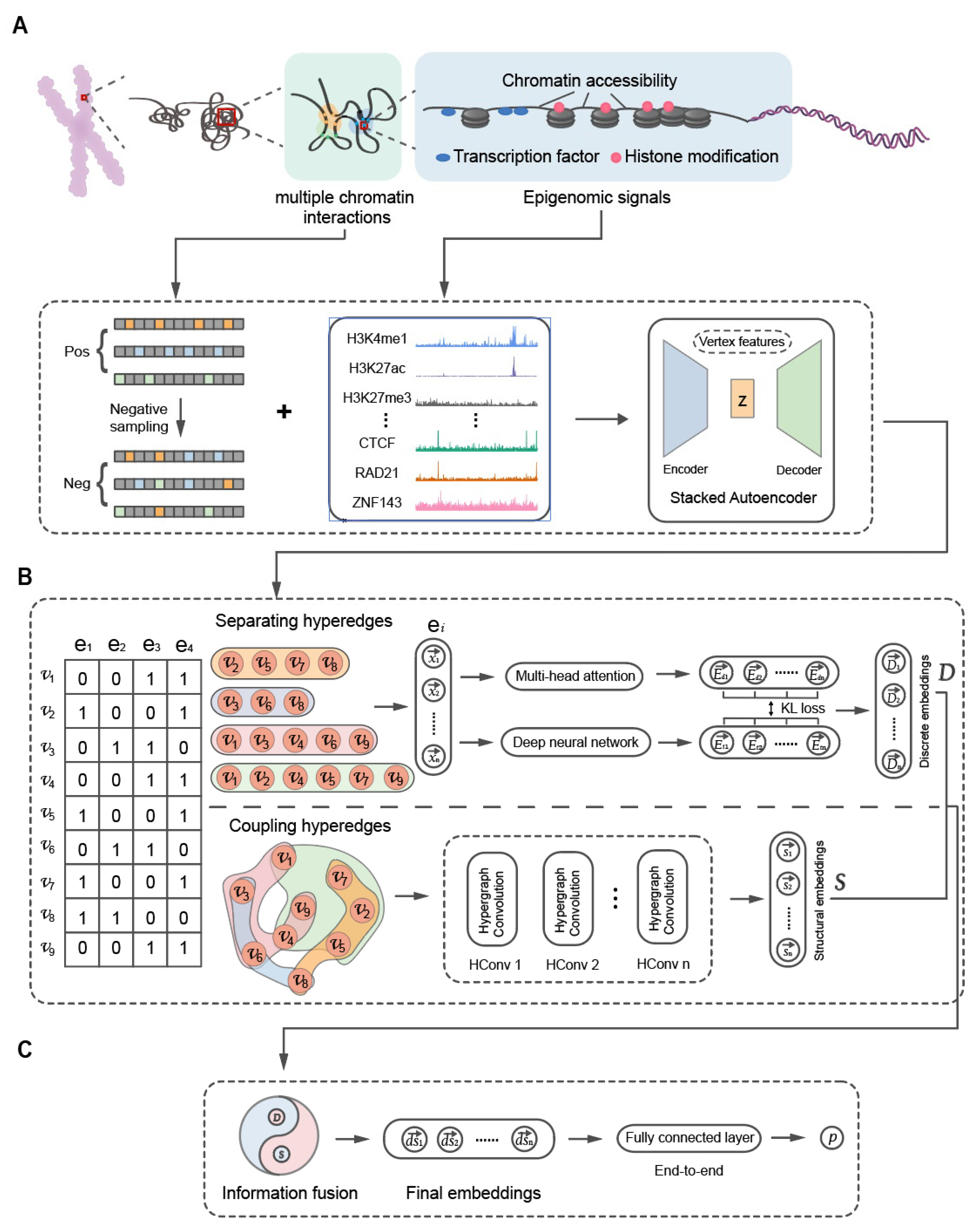 Biology 12 01203 g002