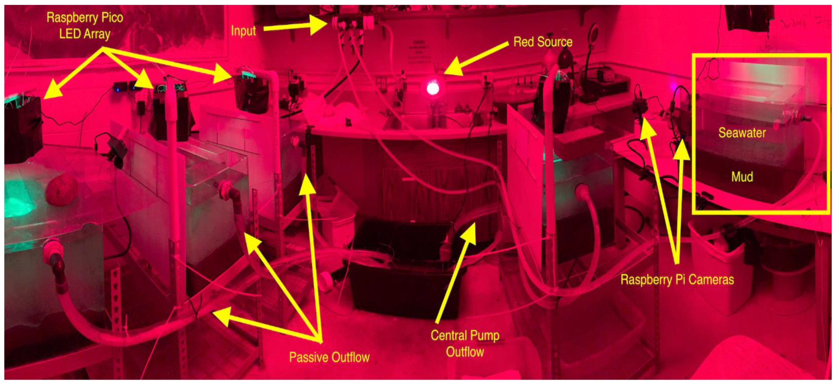 Biology 12 01204 g001