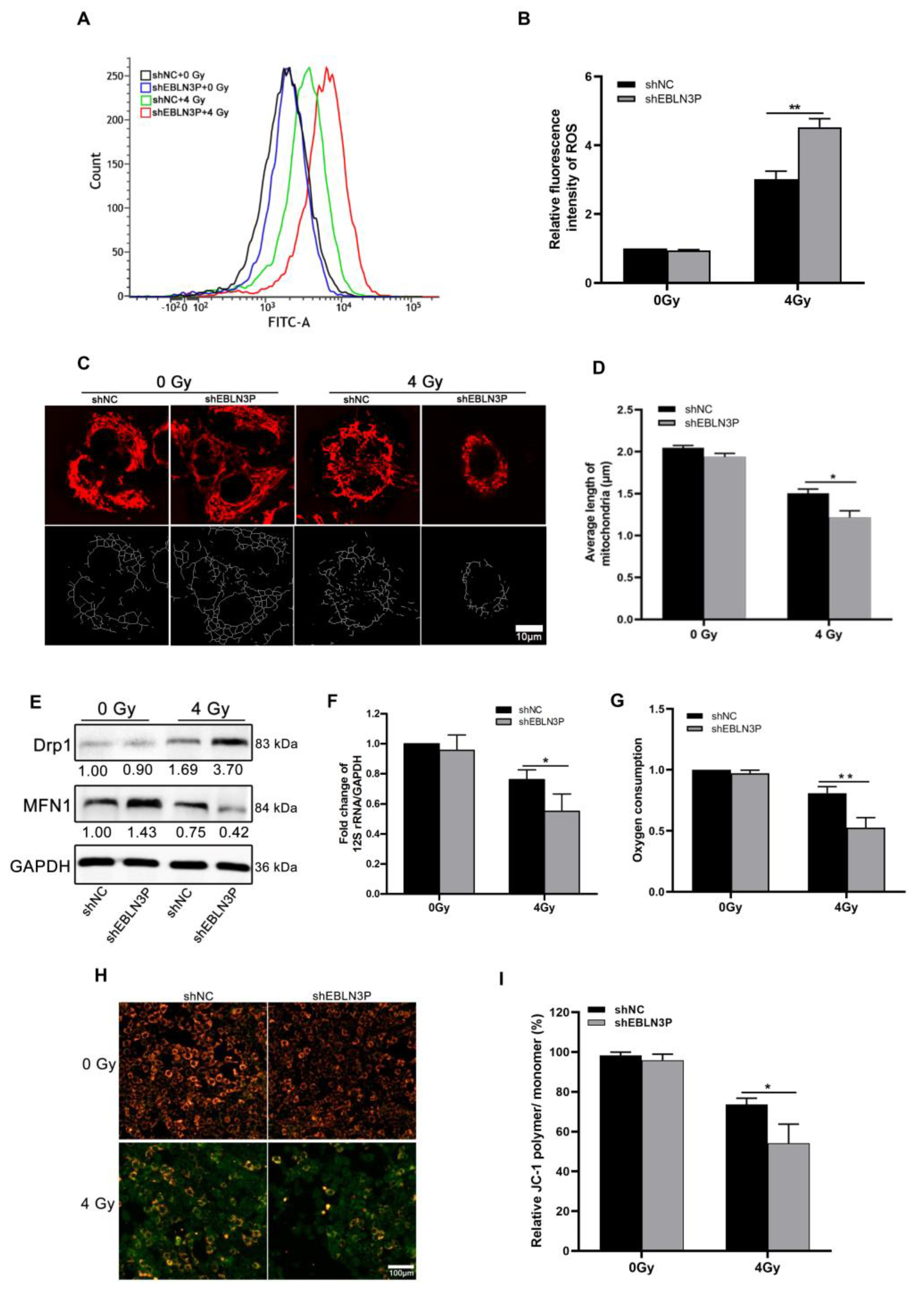 Biology 12 01208 g002