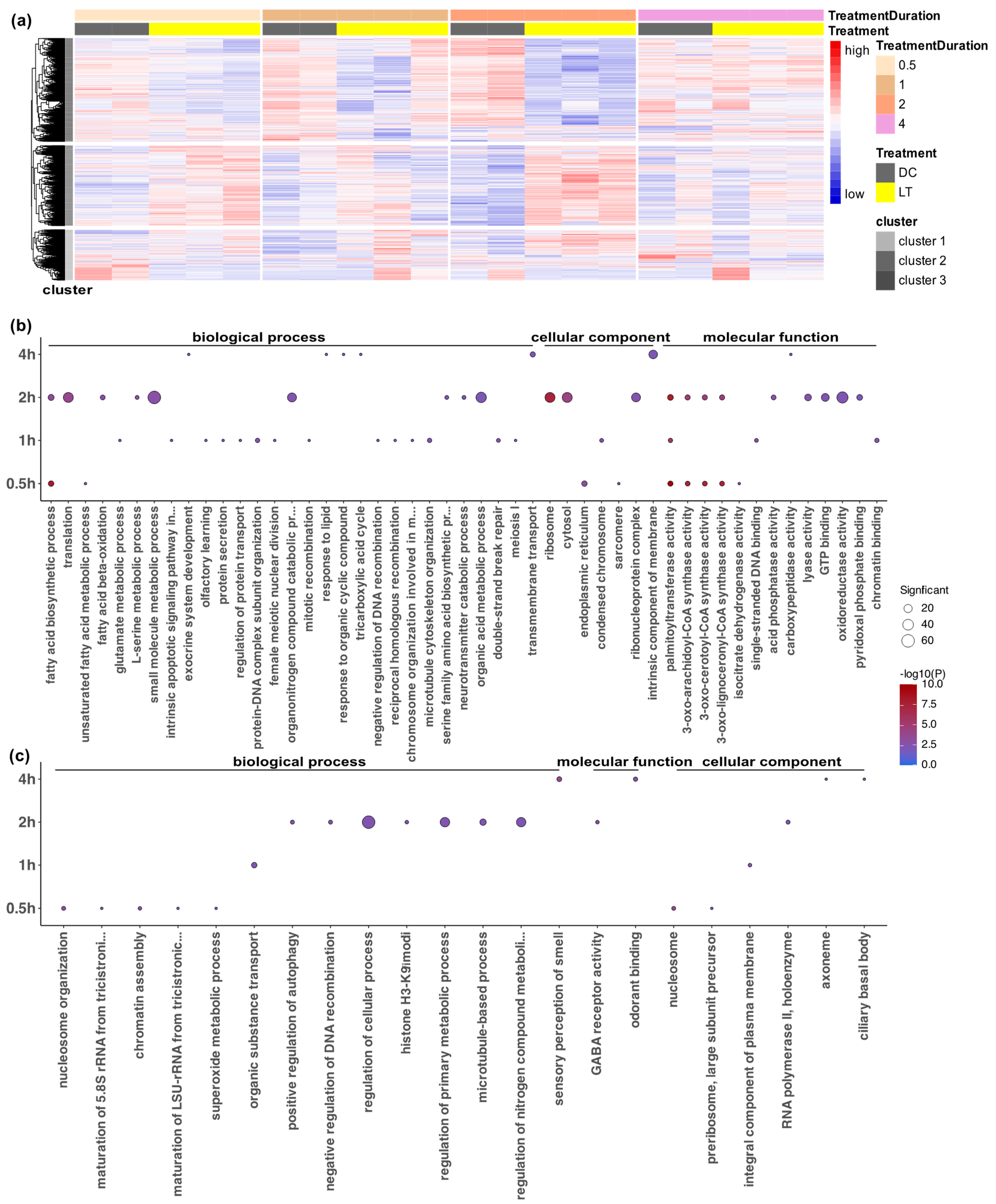 Biology 12 01215 g003