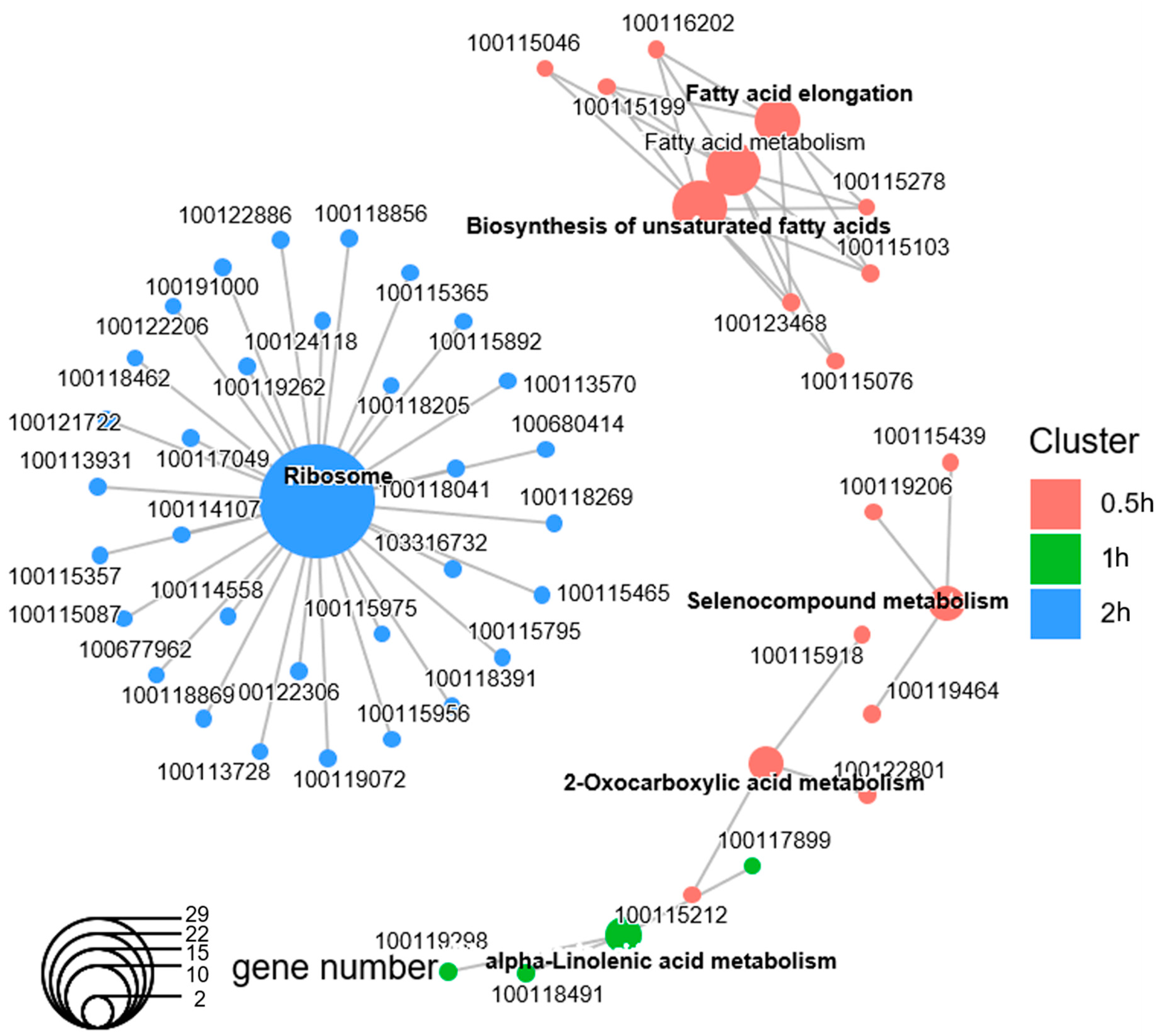Biology 12 01215 g004