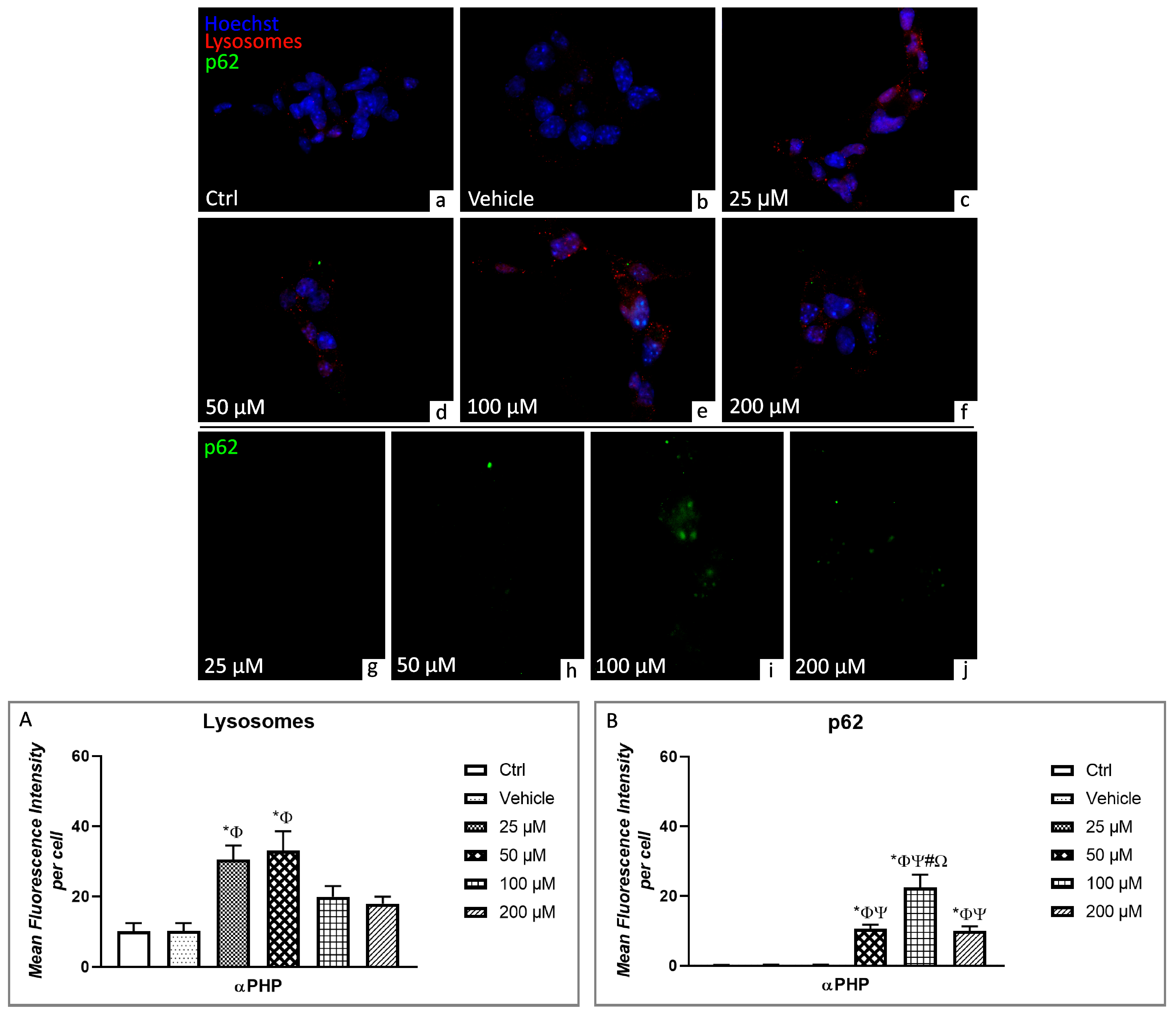 Biology 12 01225 g007