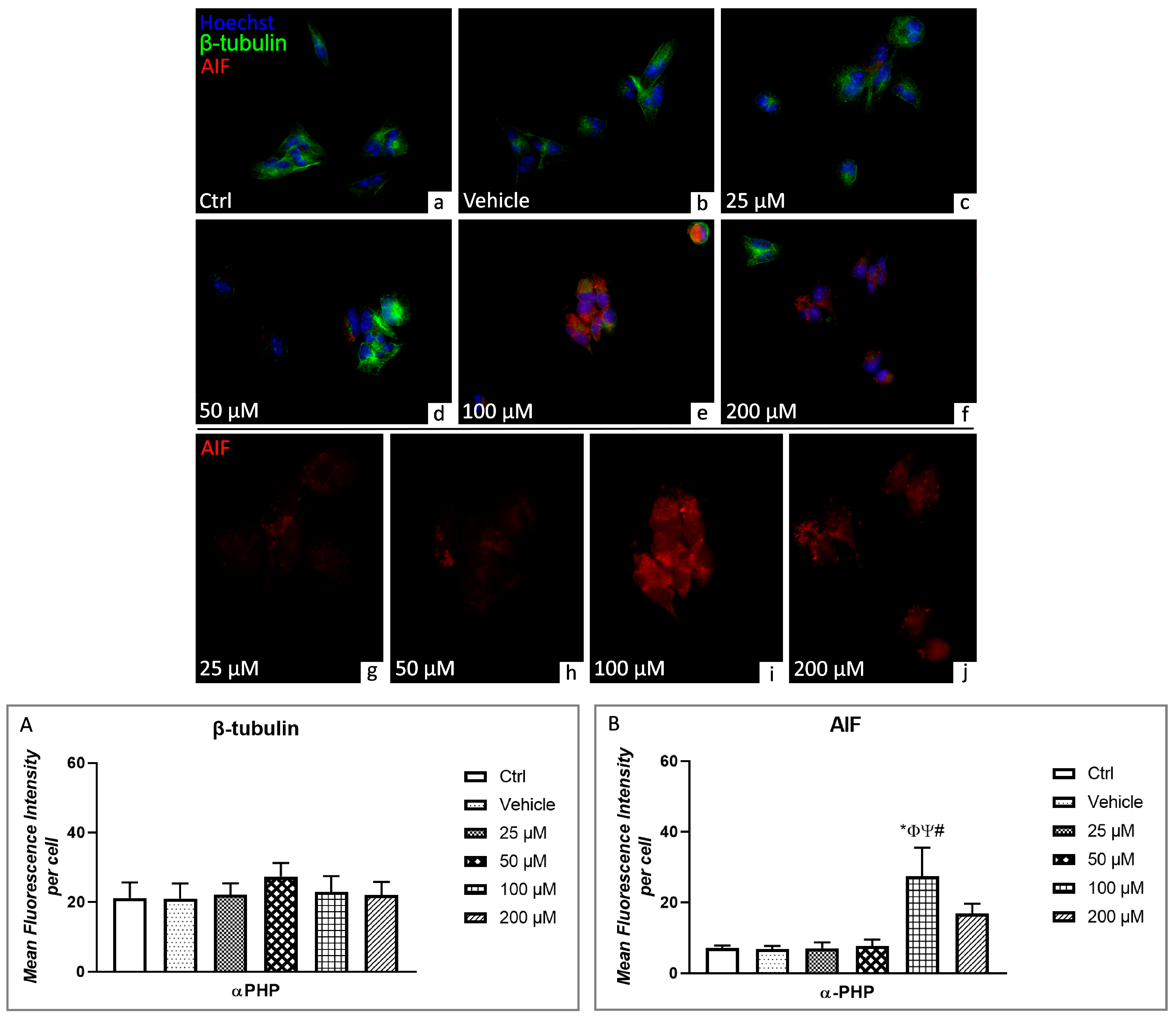 Biology 12 01225 g008