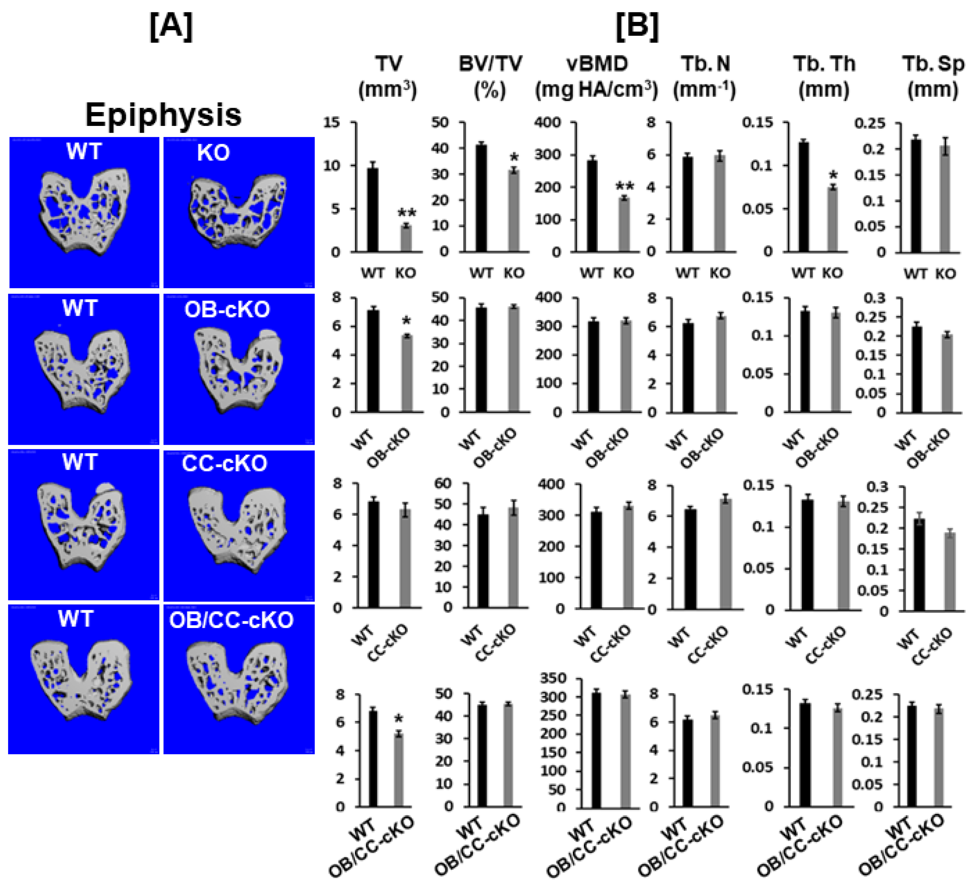 Biology 12 01228 g003