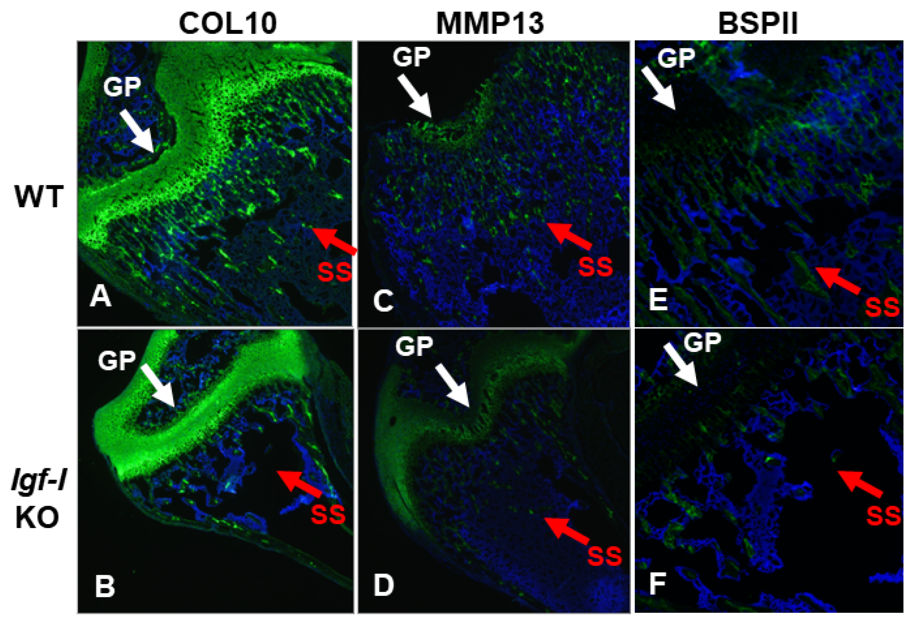 Biology 12 01228 g005