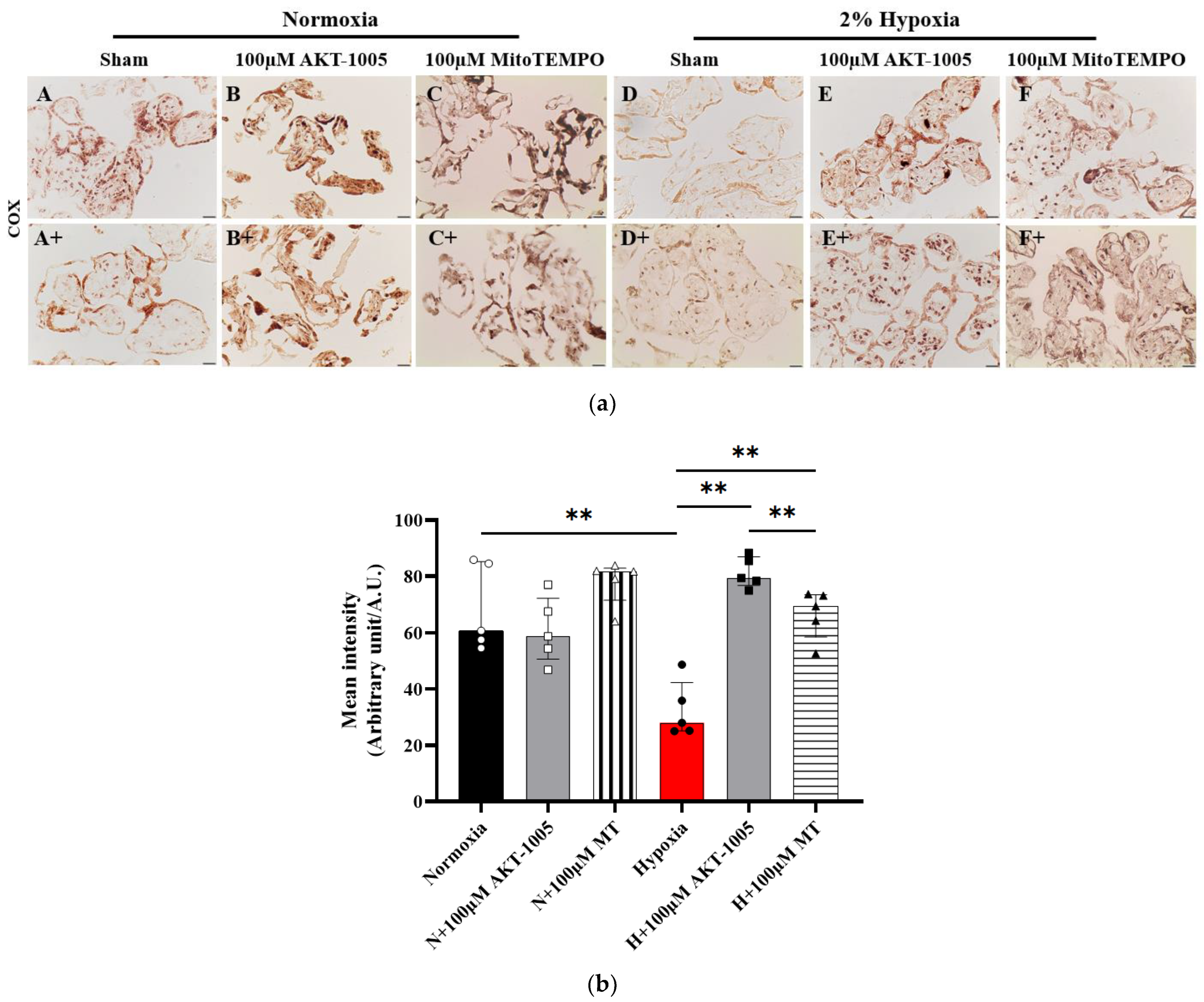 Biology 12 01229 g006
