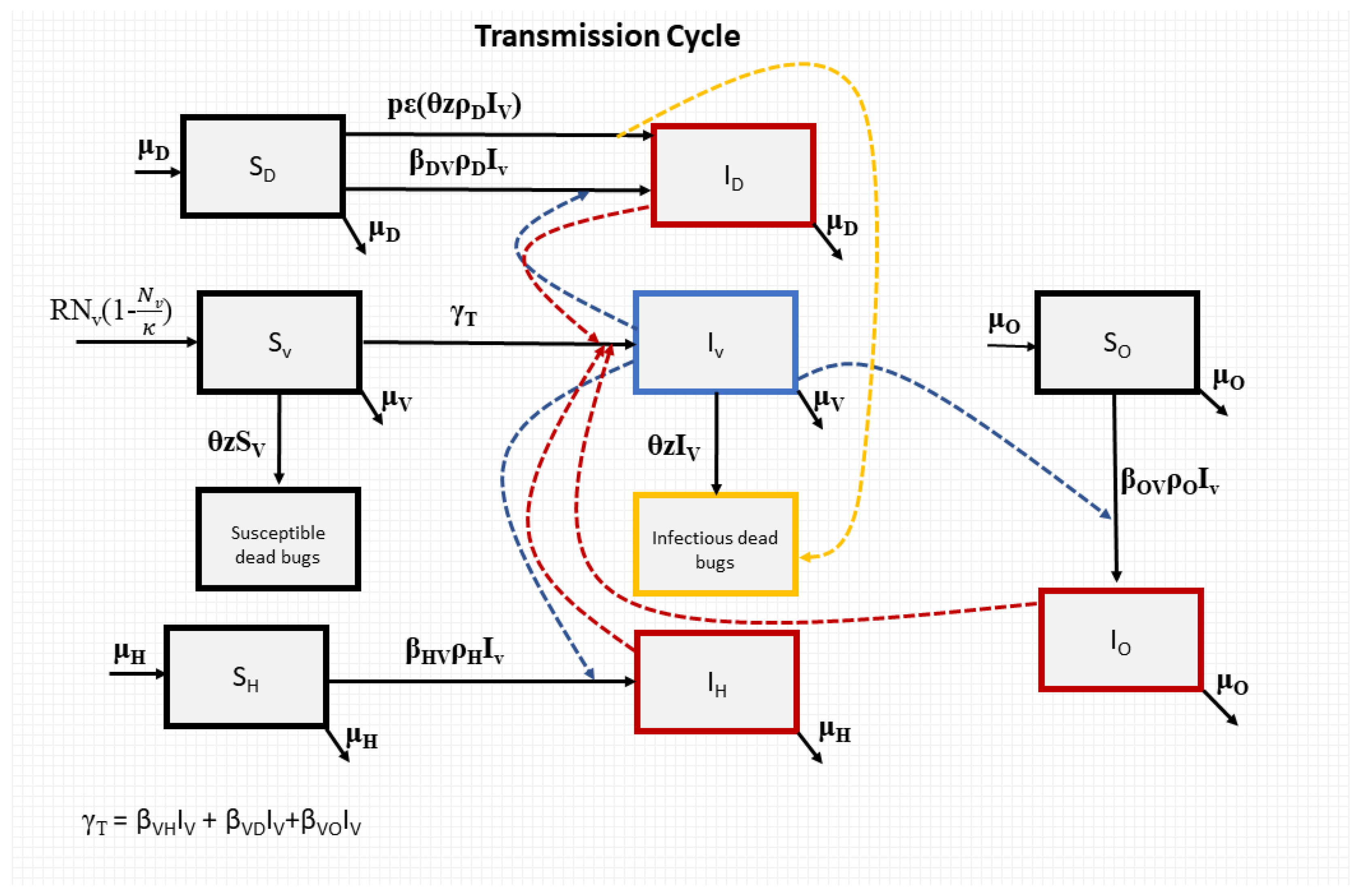 Biology 12 01235 g001 Biology 12 01235 g001