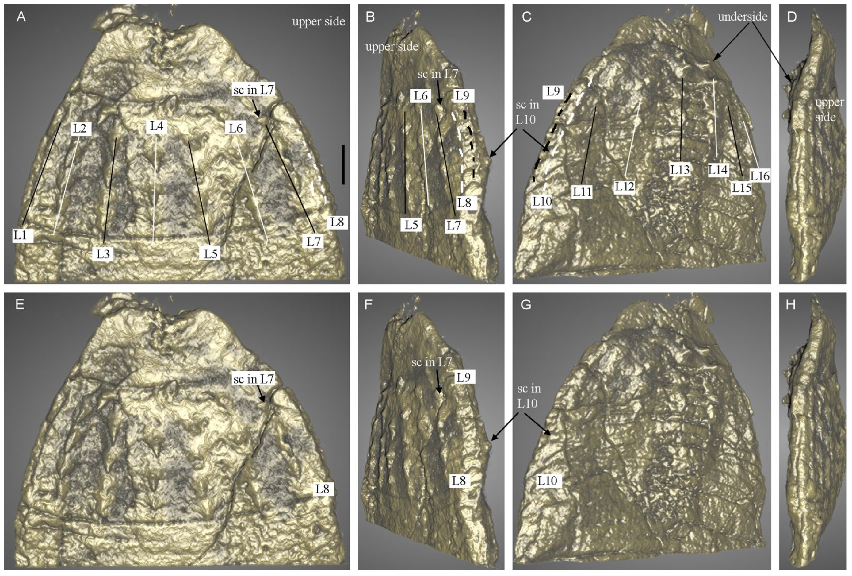 Biology 12 01242 g002