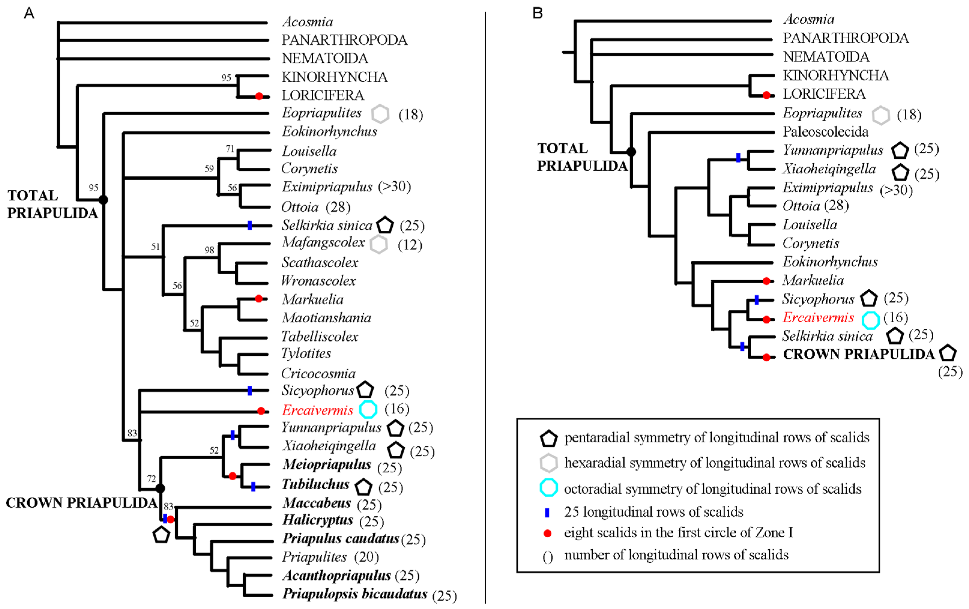 Biology 12 01242 g005
