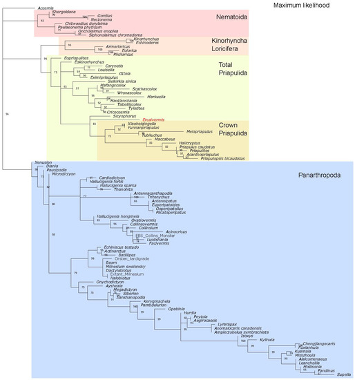 Biology 12 01242 g0a3