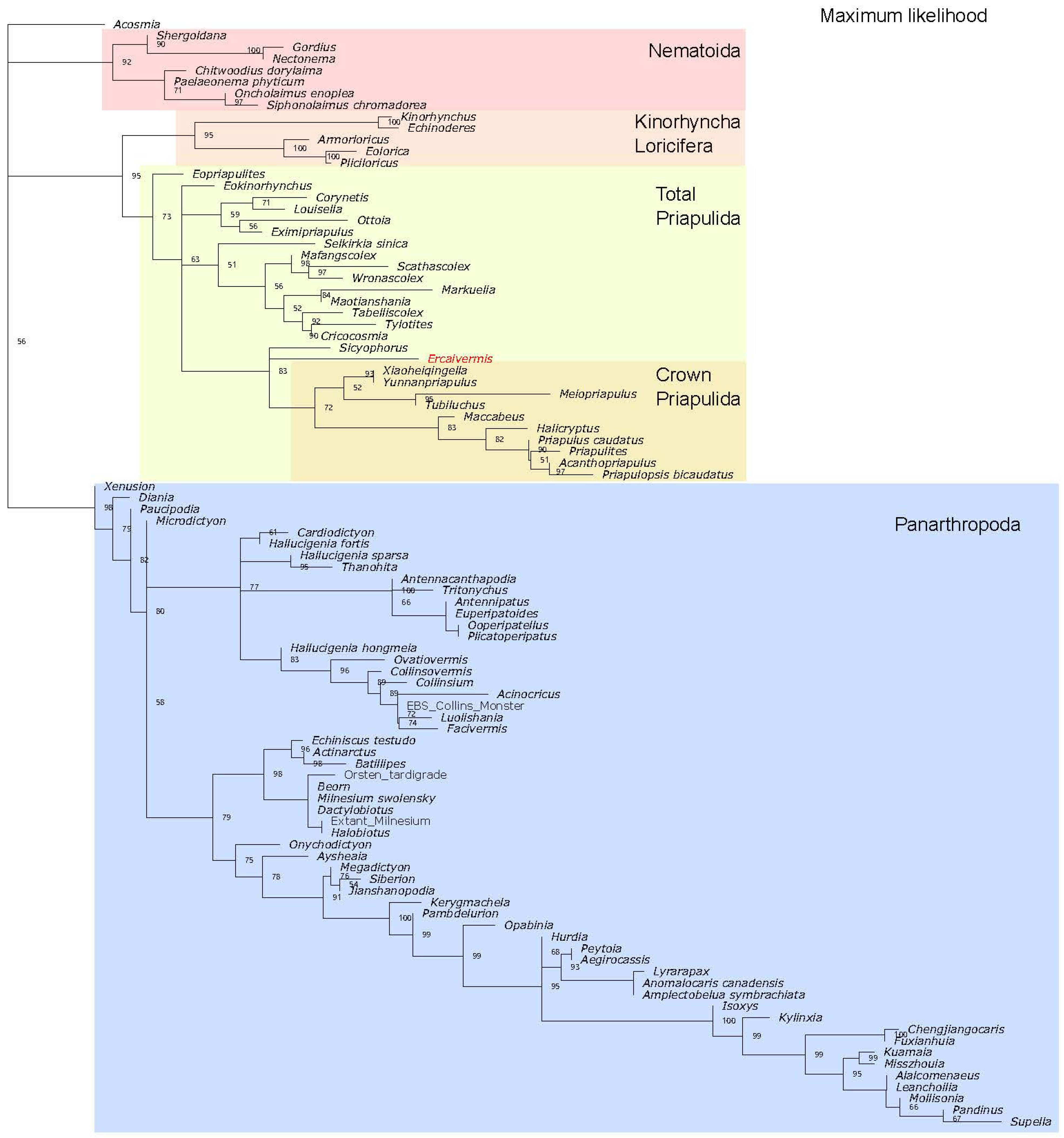 Biology 12 01242 g0a3