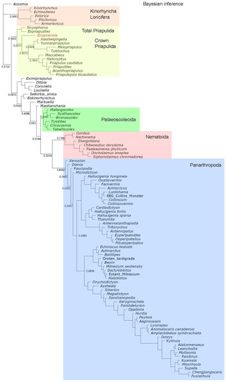 Biology 12 01242 g0a4