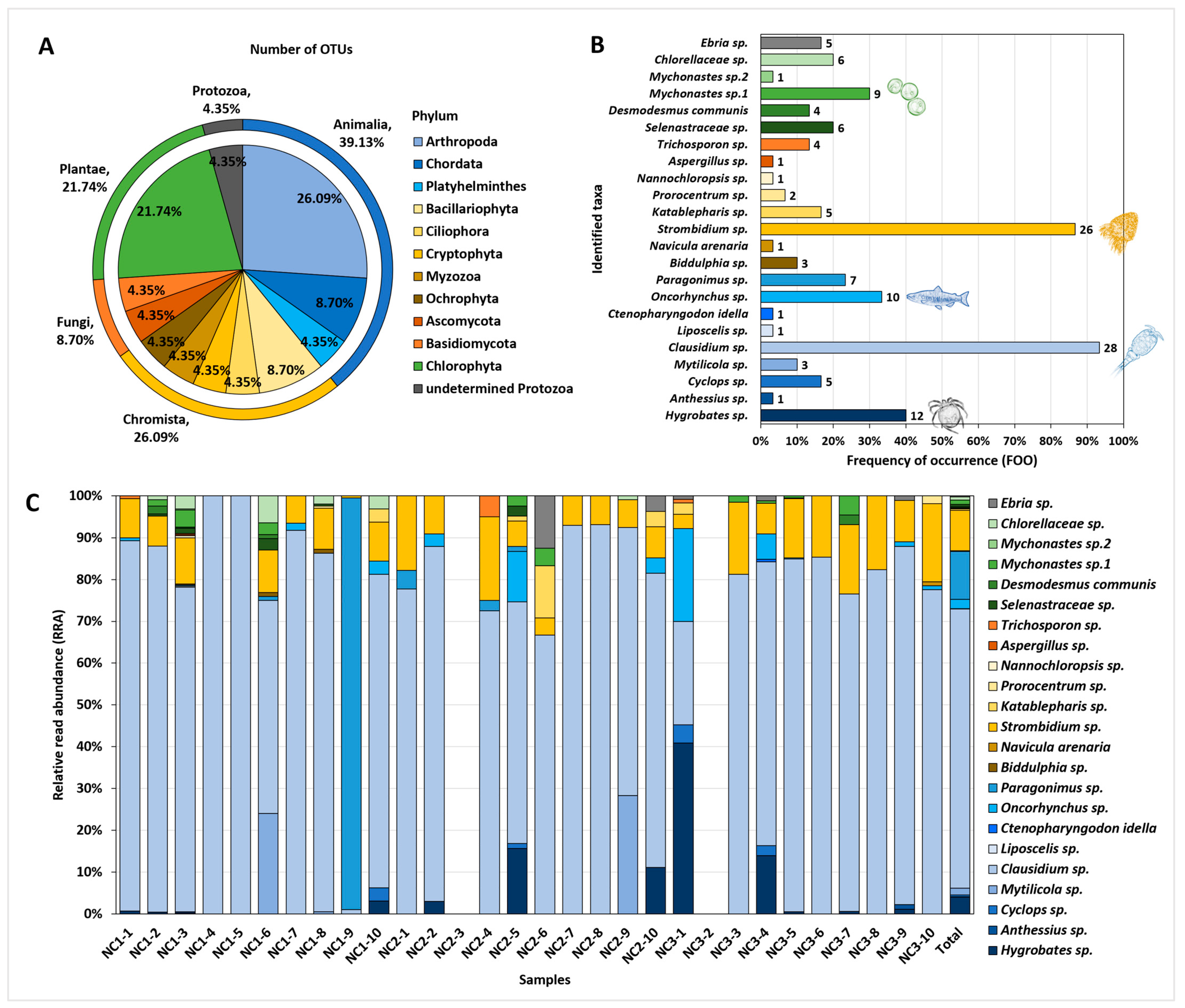 Biology 12 01245 g002