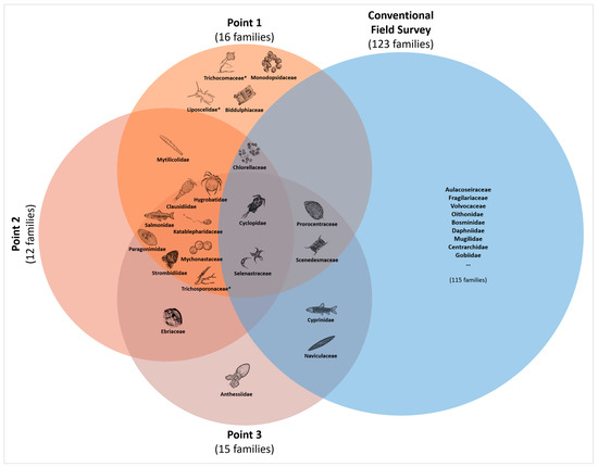 Biology 12 01245 g004