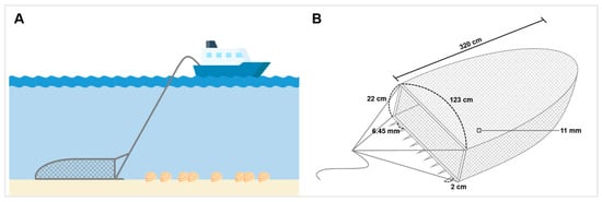 Biology 12 01245 g0a1